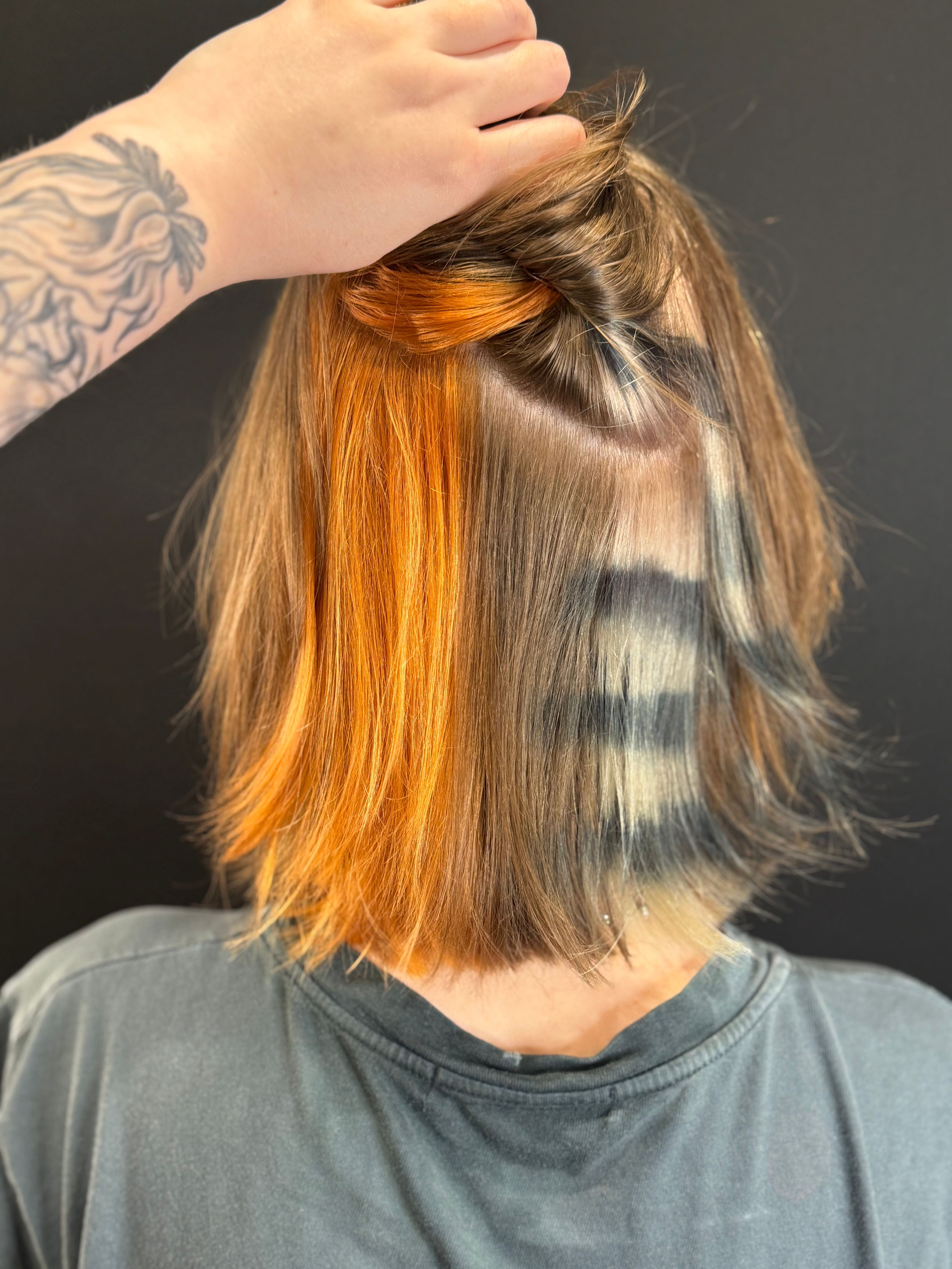Haley Heick — Creative Color ONESHOT Hair Awards entry