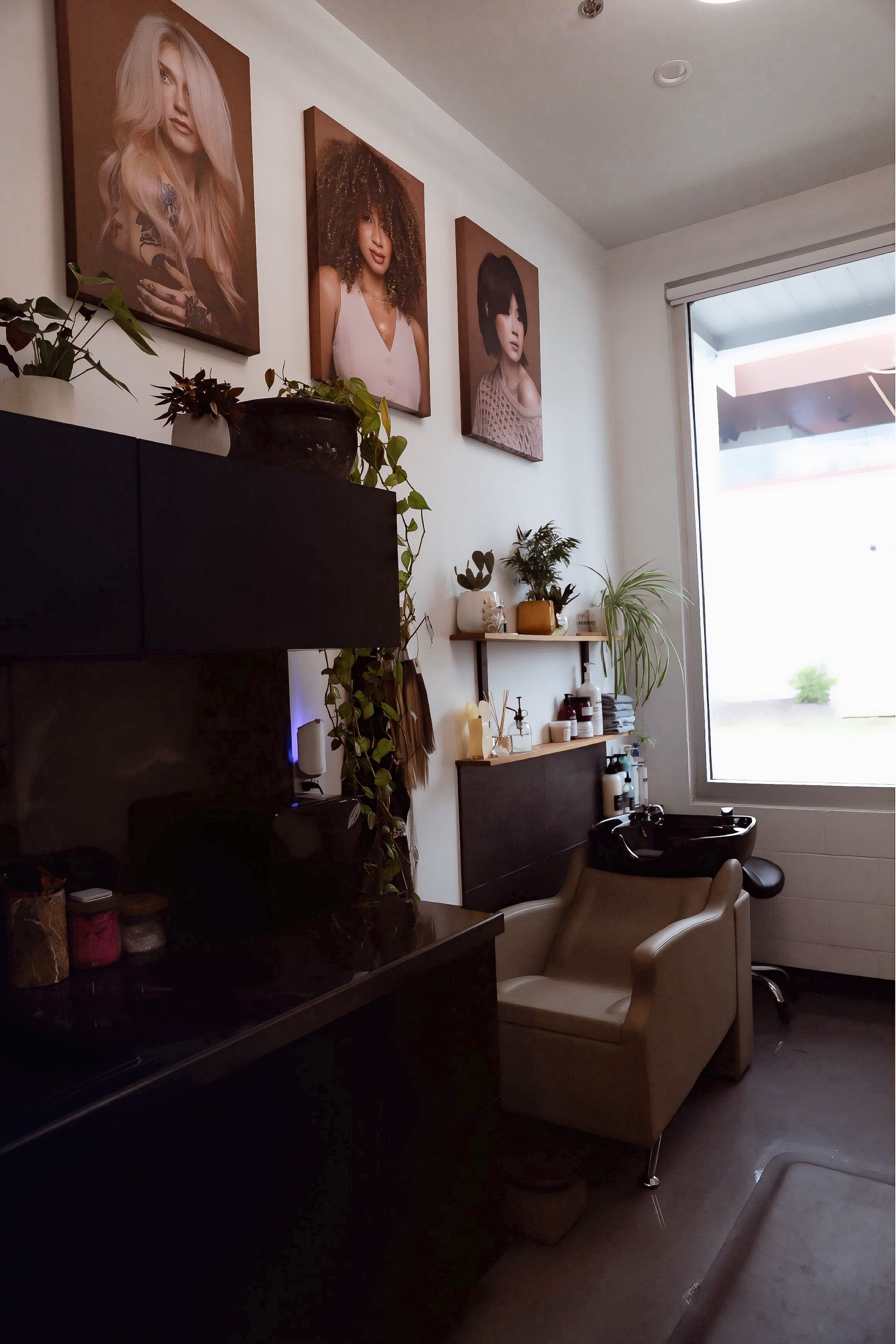 Taylor Wilson — Suite Decor ONESHOT Hair Awards entry