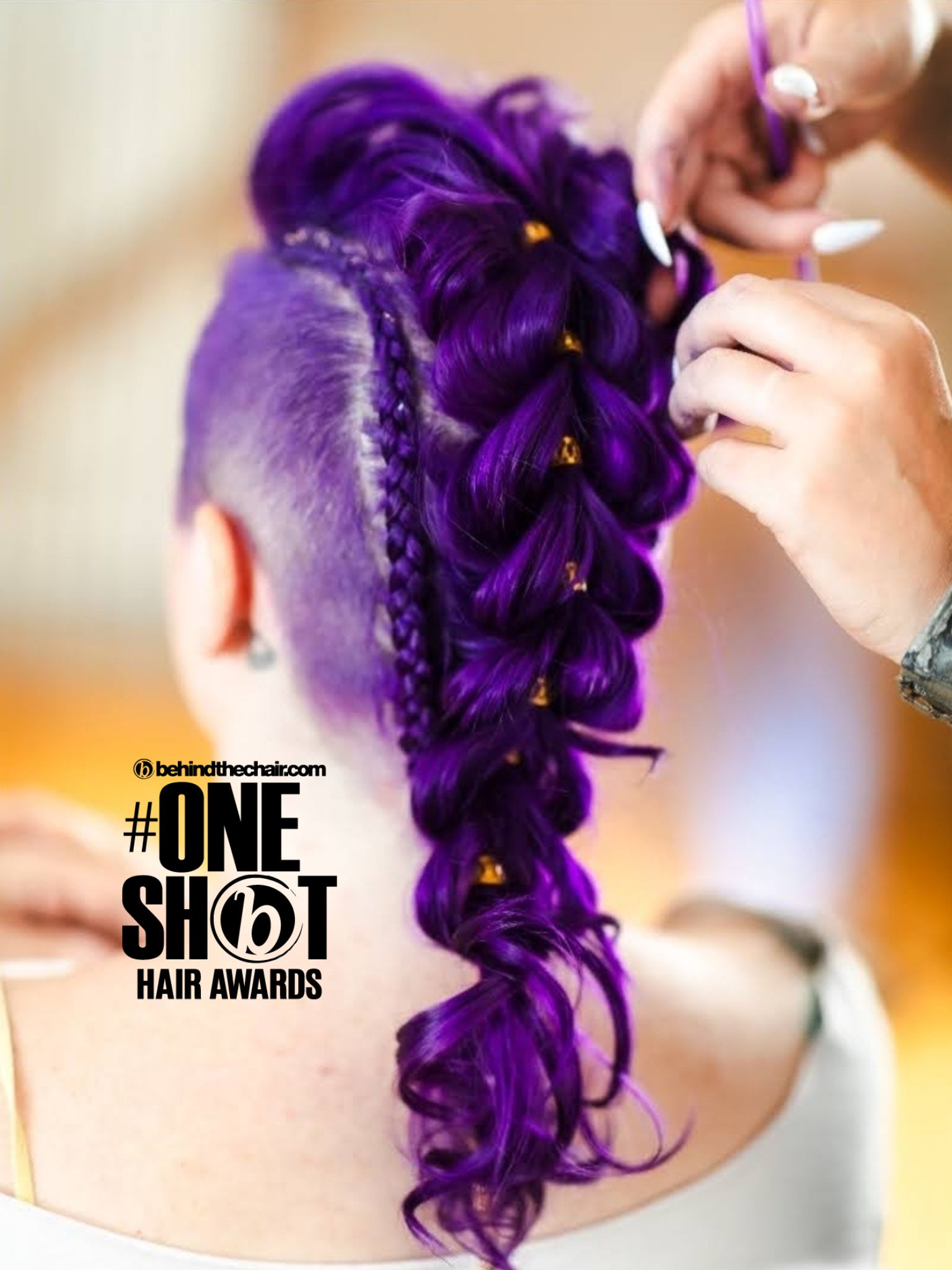 Lori Geil — Intricate Braids & Twists ONESHOT Hair Awards entry