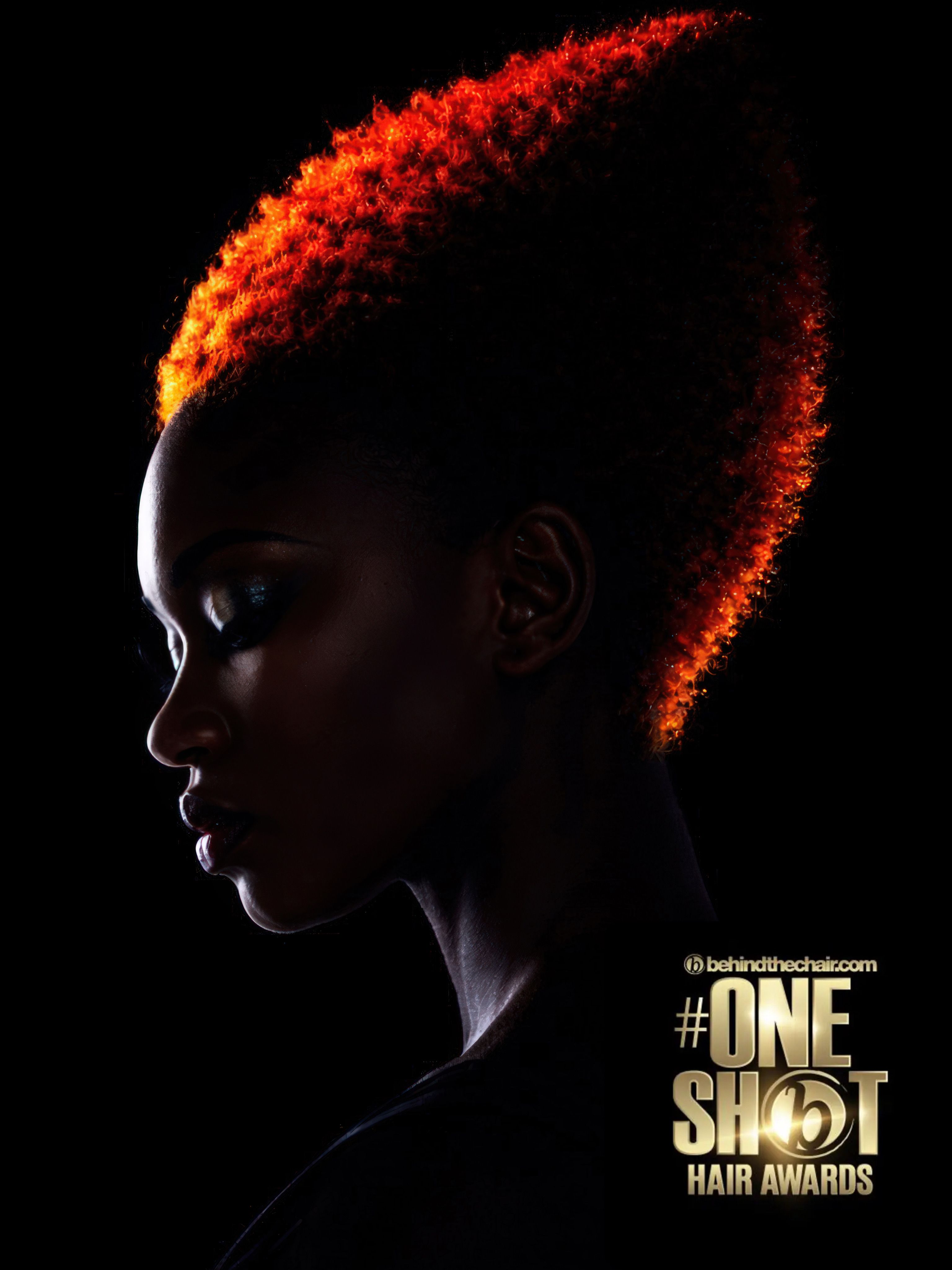 Curylo Project — Avant-Garde Shot ONESHOT Hair Awards entry