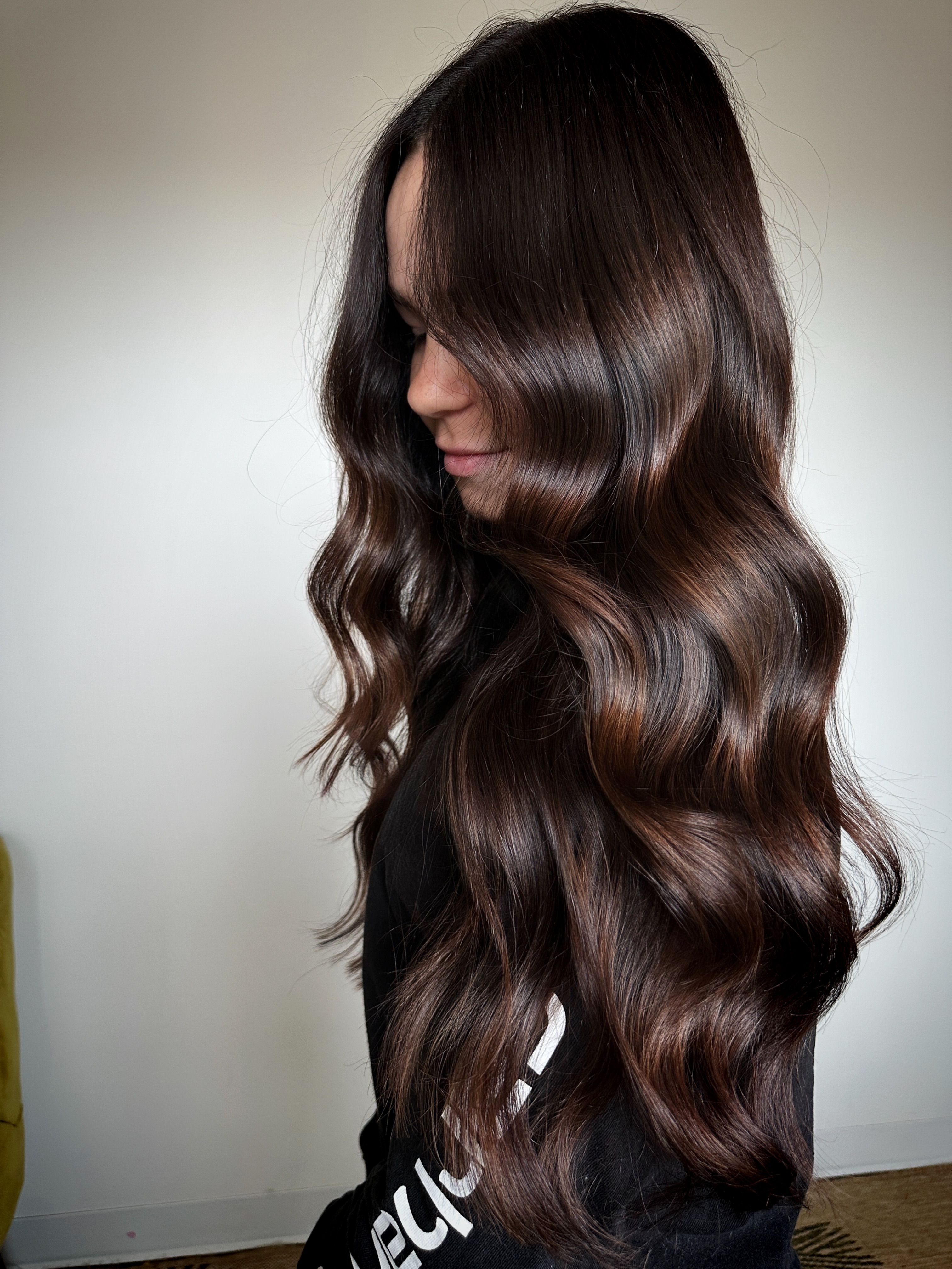 Shania Quail — Brunettes ONESHOT Hair Awards entry