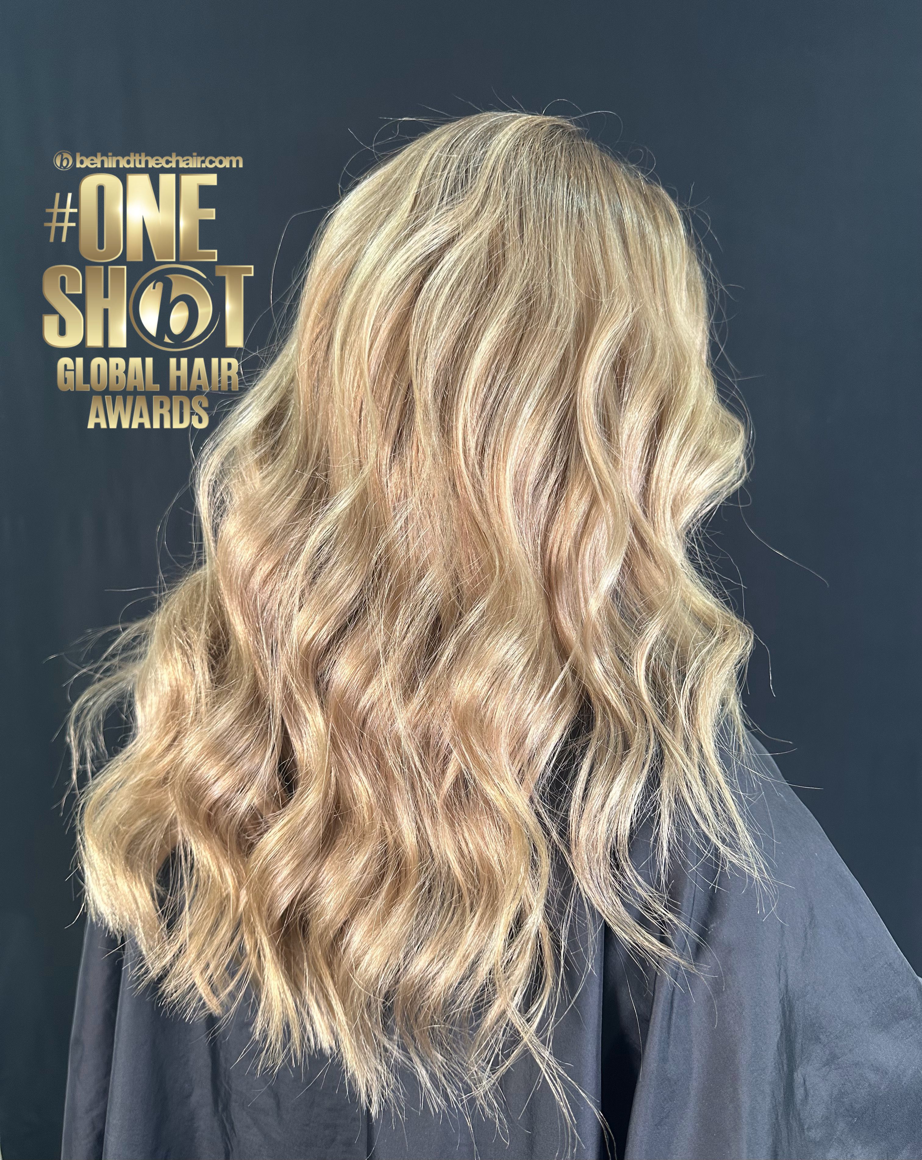 Anna Kucherenko — Warm Balayage ONESHOT Hair Awards entry