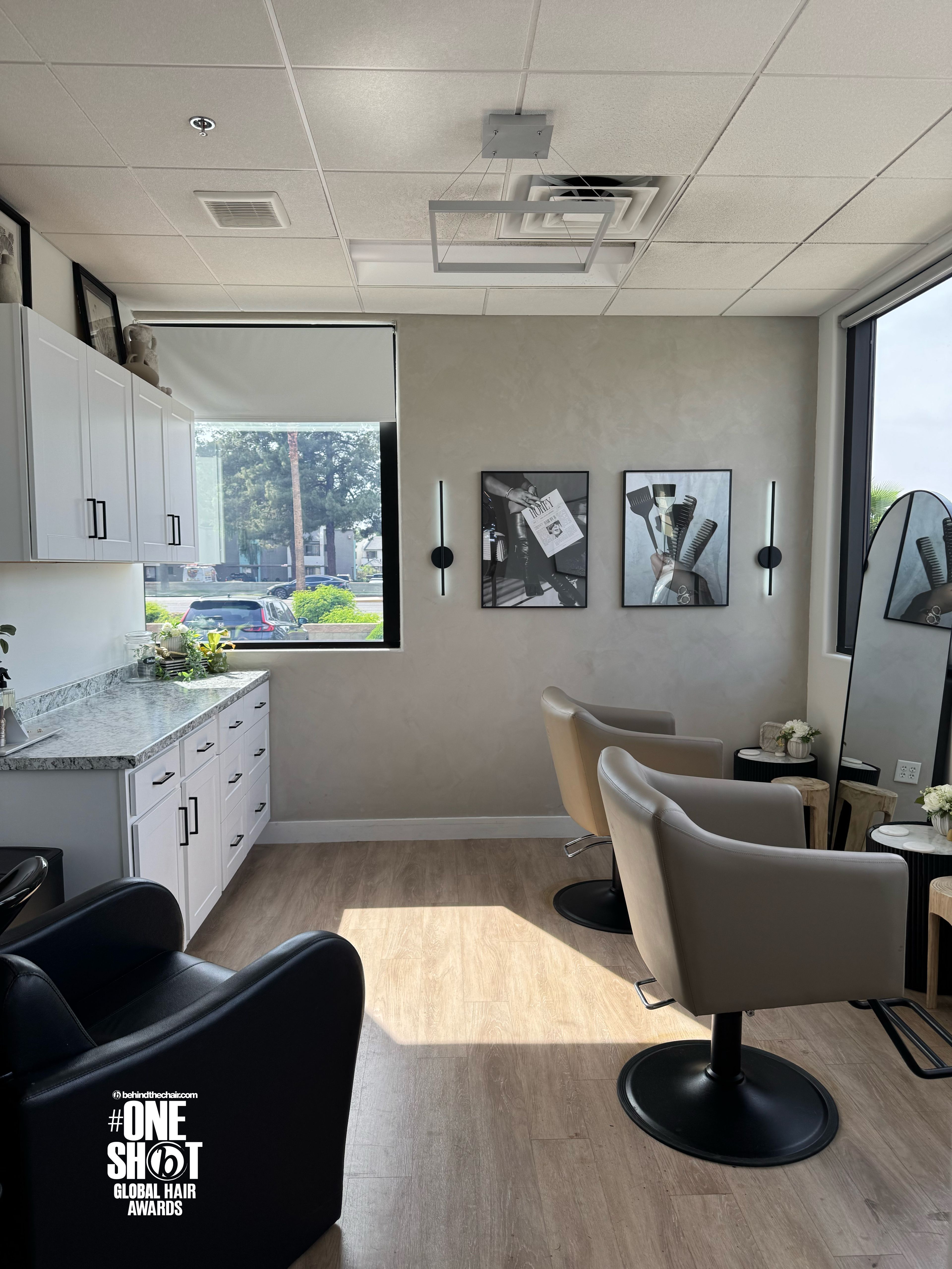 Brooklyn Zietlow — Suite Decor ONESHOT Hair Awards entry