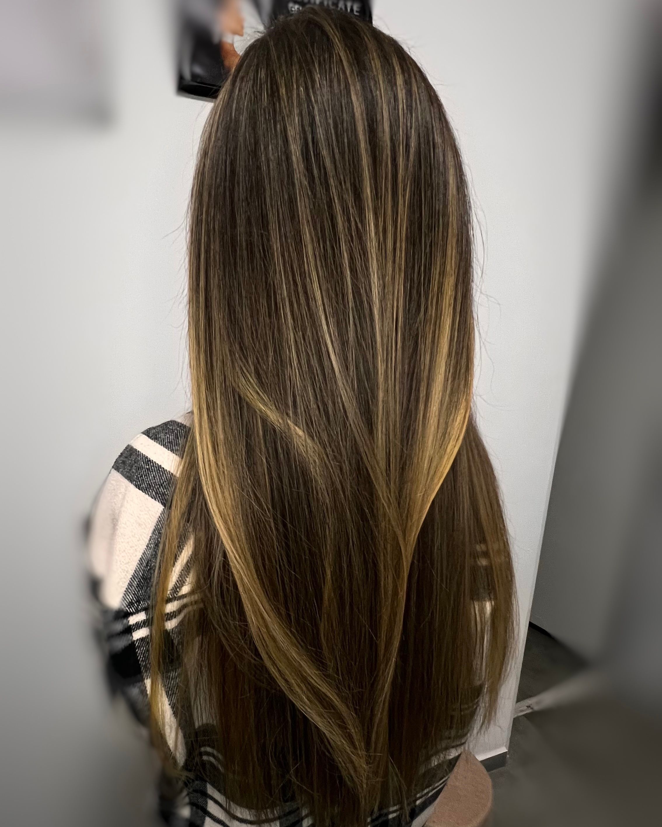Elena Gendelev — Brunettes ONESHOT Hair Awards entry