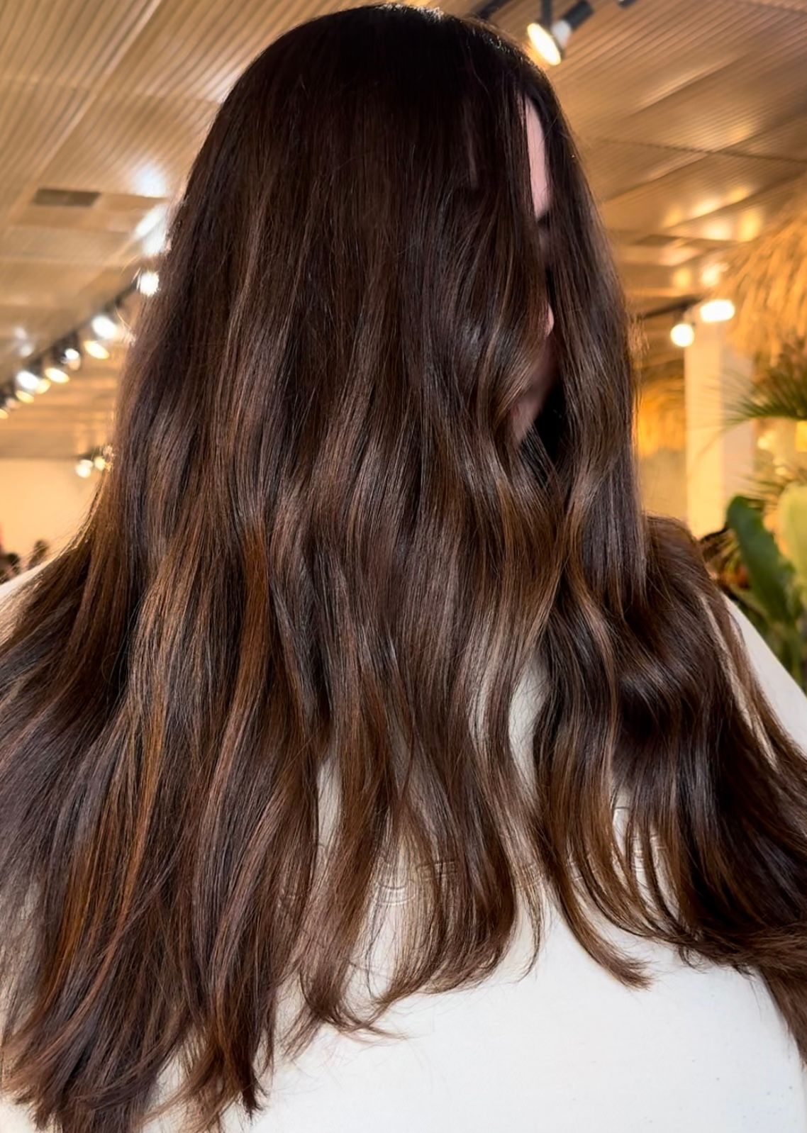 Isabella Criscione — Brunettes ONESHOT Hair Awards entry