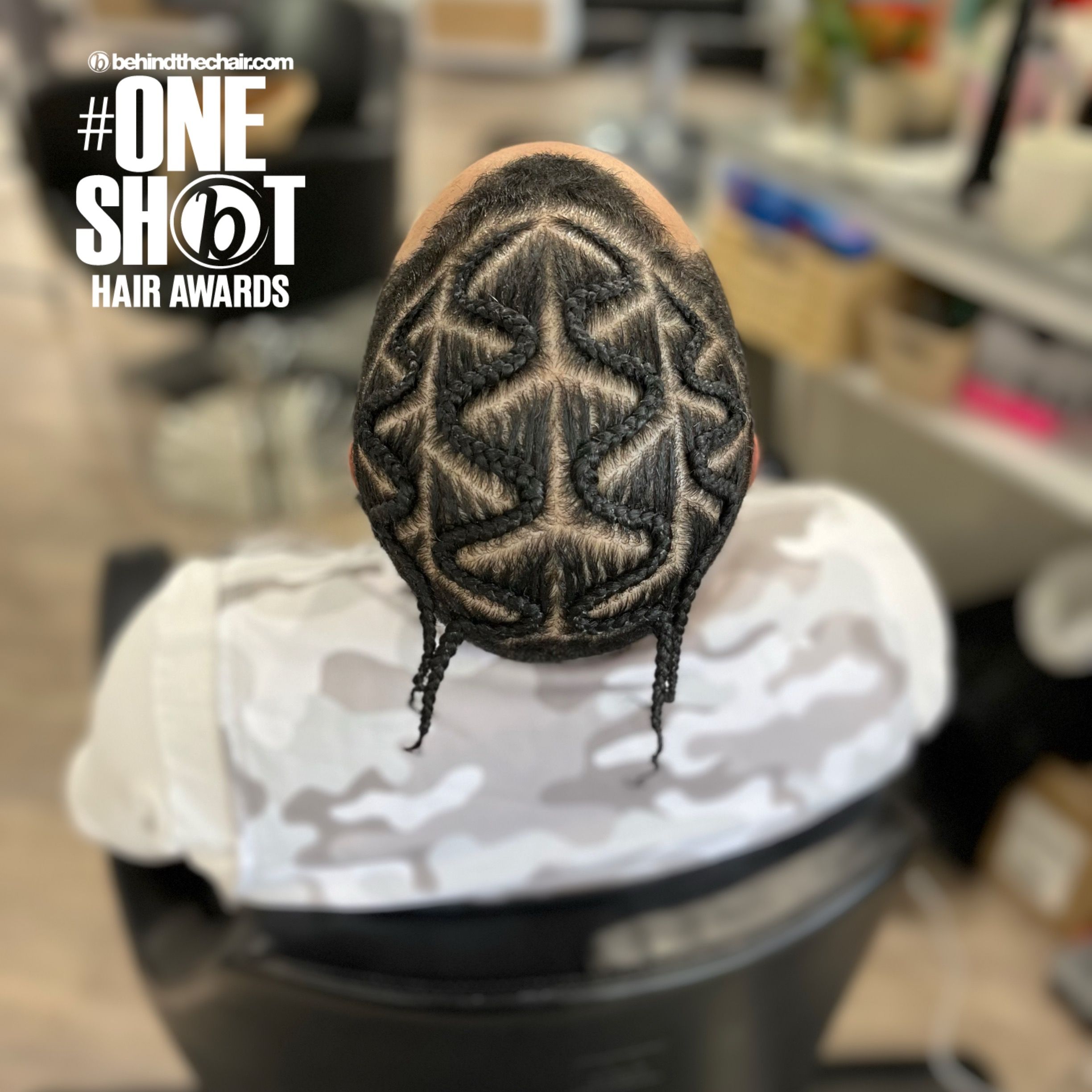 Erica Baca — Intricate Braids & Twists ONESHOT Hair Awards entry