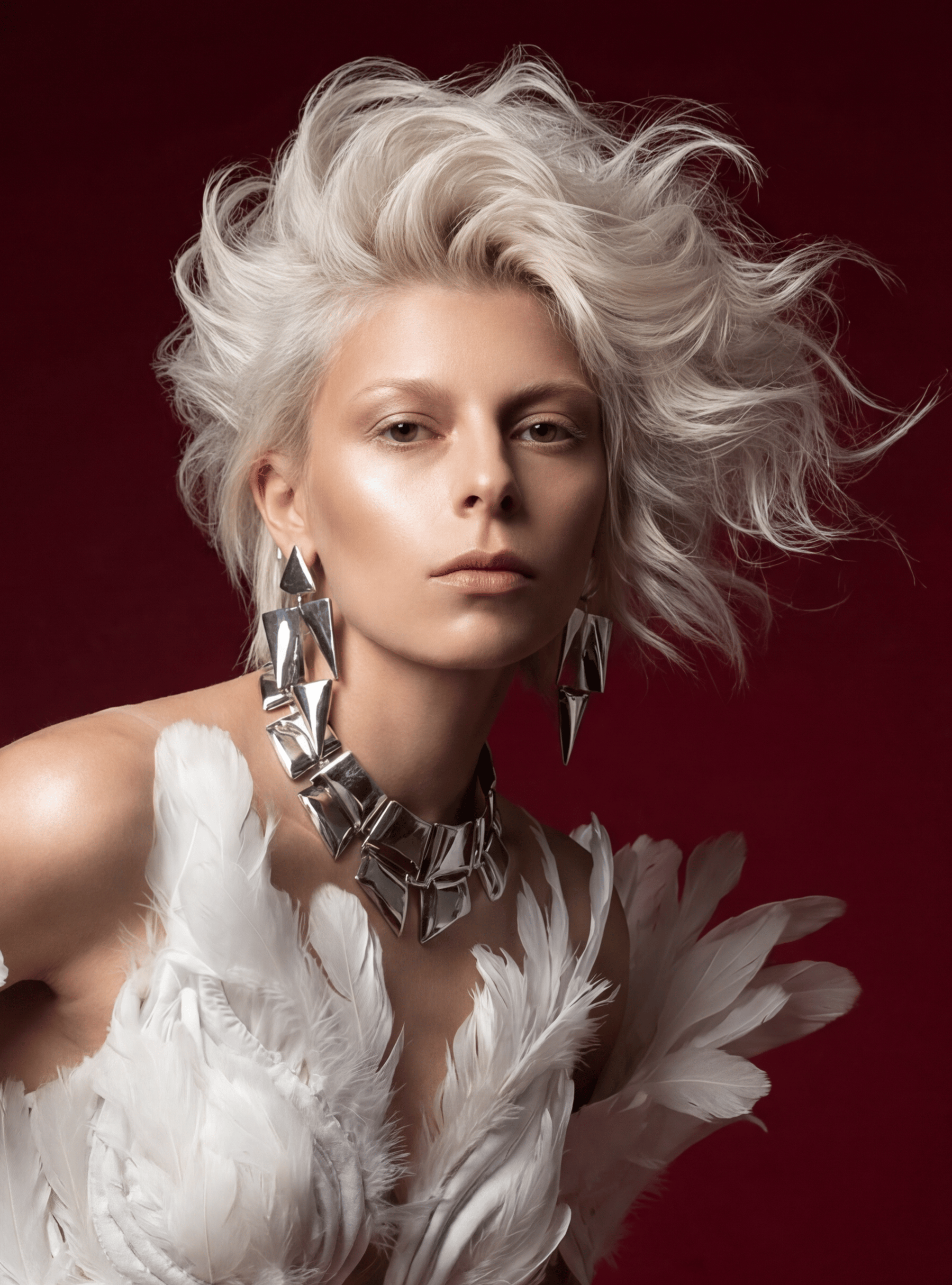 Celine Lasseel — Editorial Collection ONESHOT Hair Awards entry