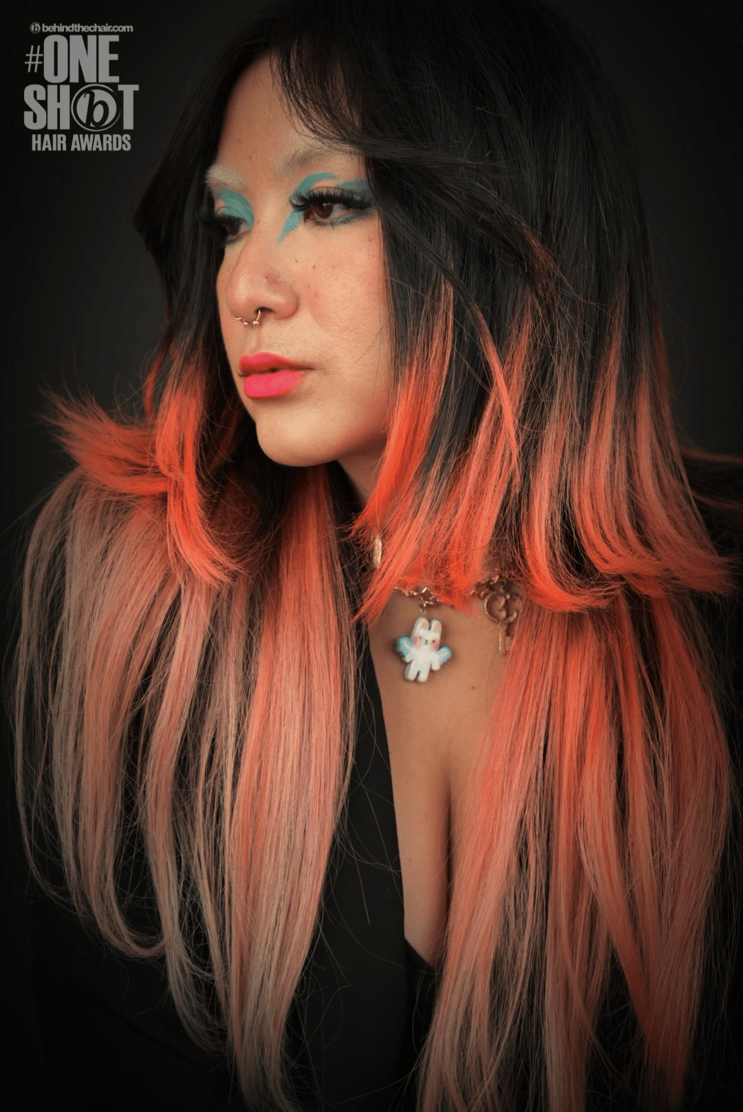Cindy Earl Covic — Color Blocking ONESHOT Hair Awards entry