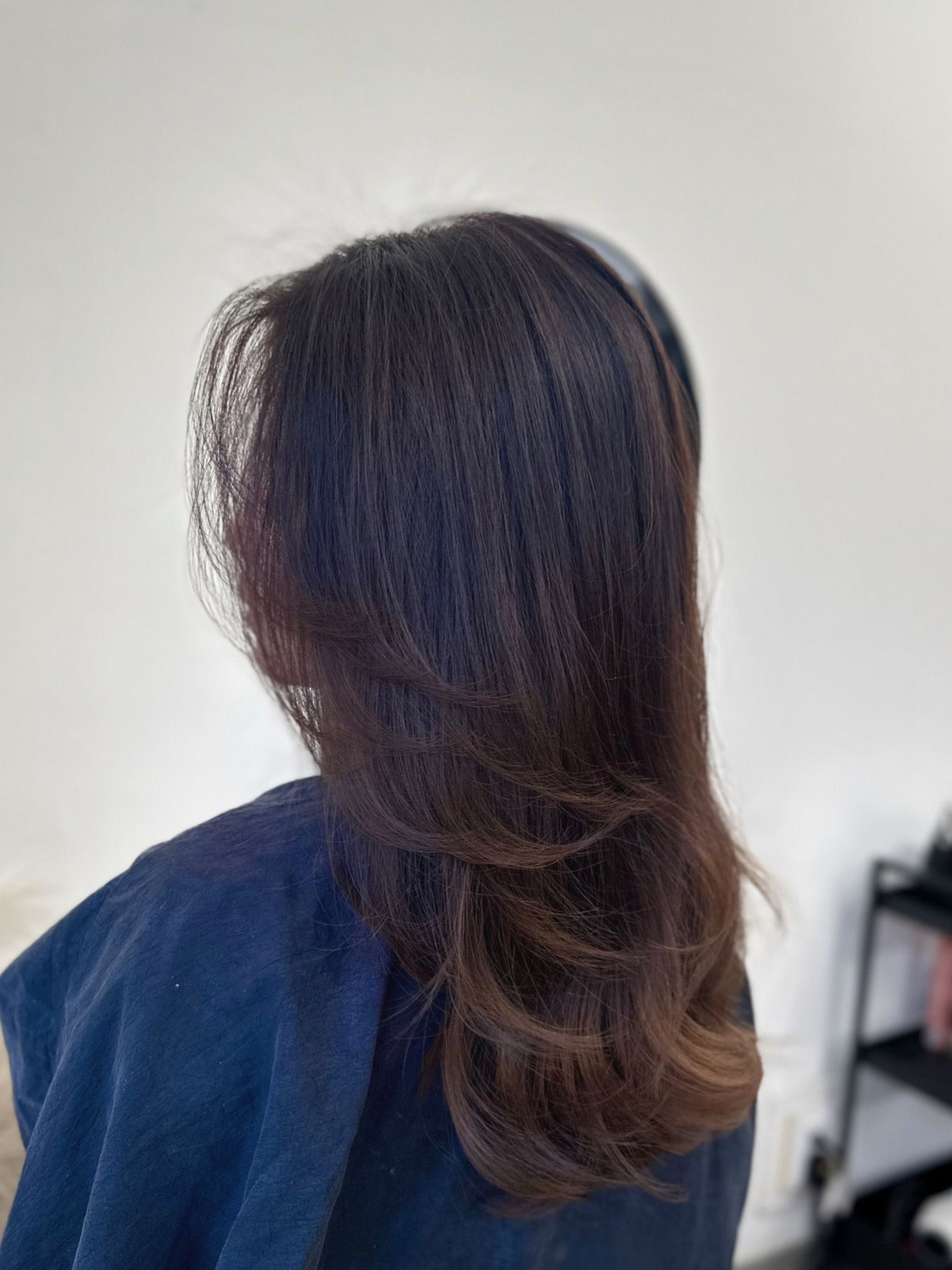 Felicia Chiu — Brunettes ONESHOT Hair Awards entry