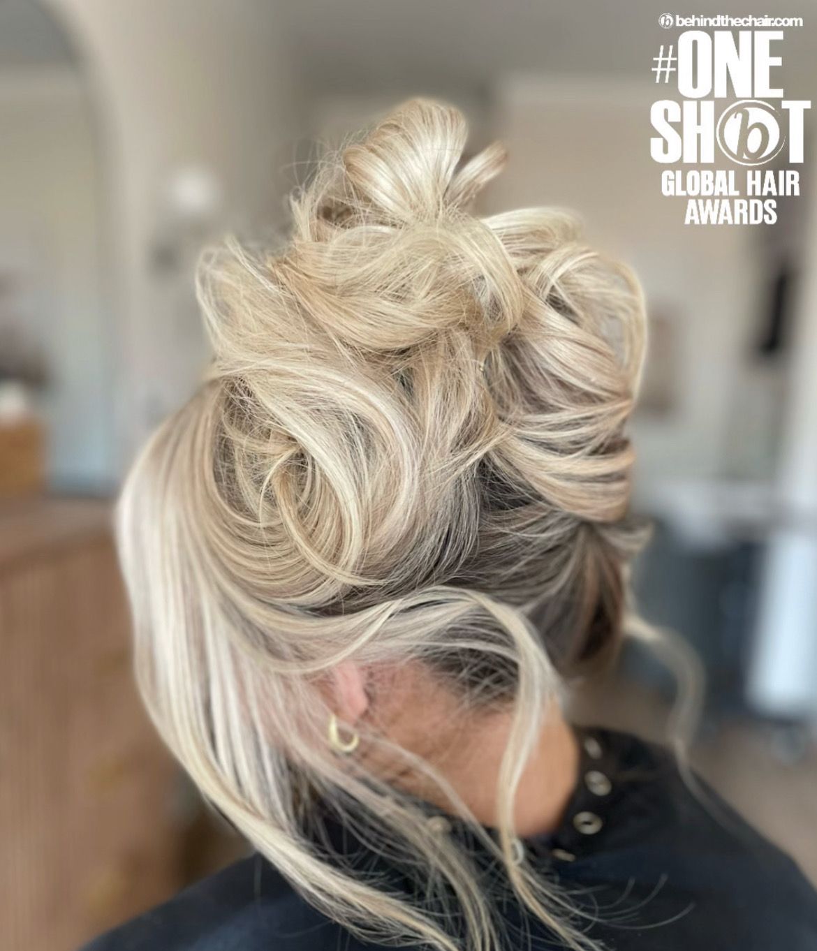 Sonya Masek — Special Event Styling ONESHOT Hair Awards entry