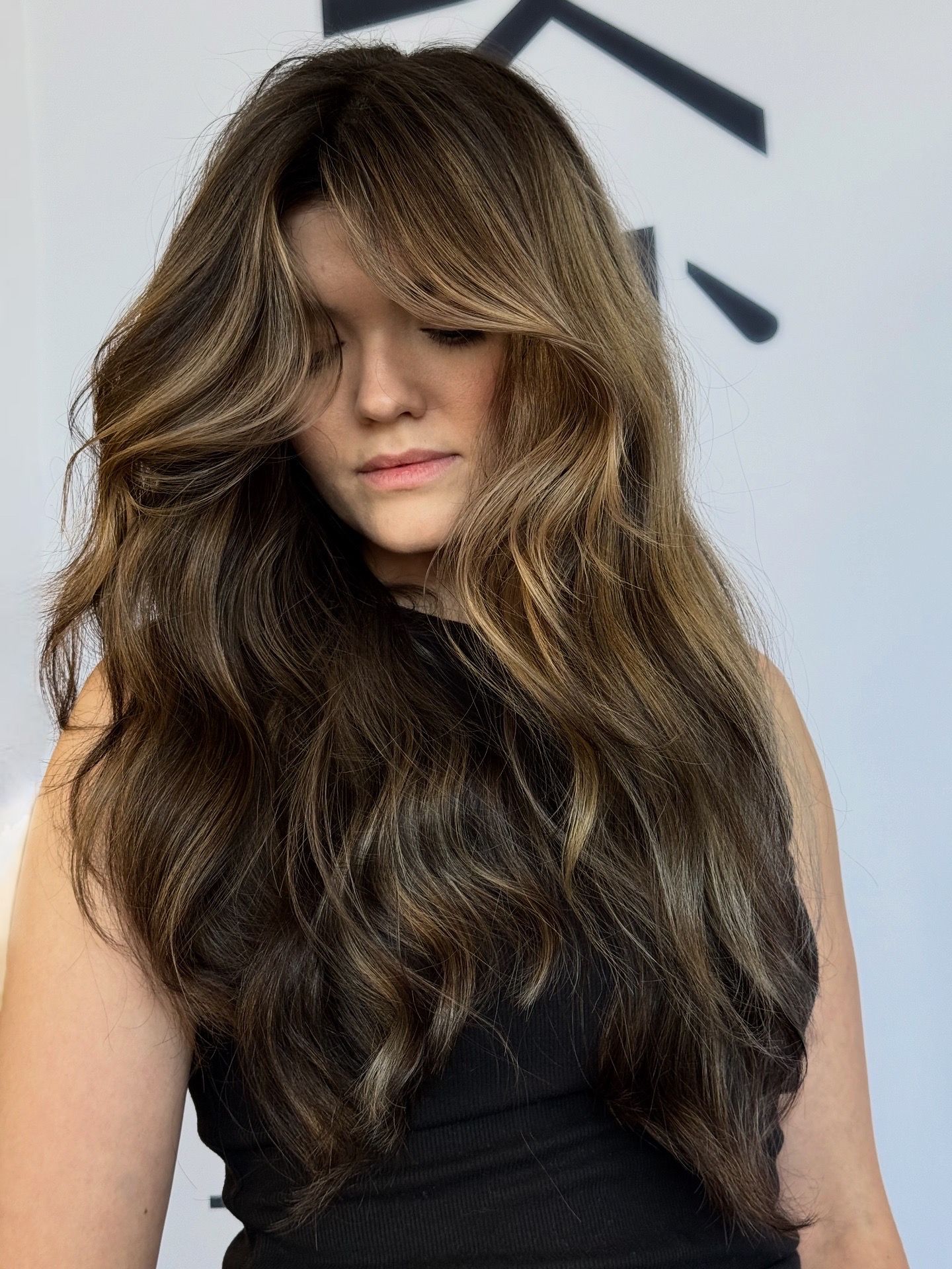 Brianna Crane — Brunettes ONESHOT Hair Awards entry
