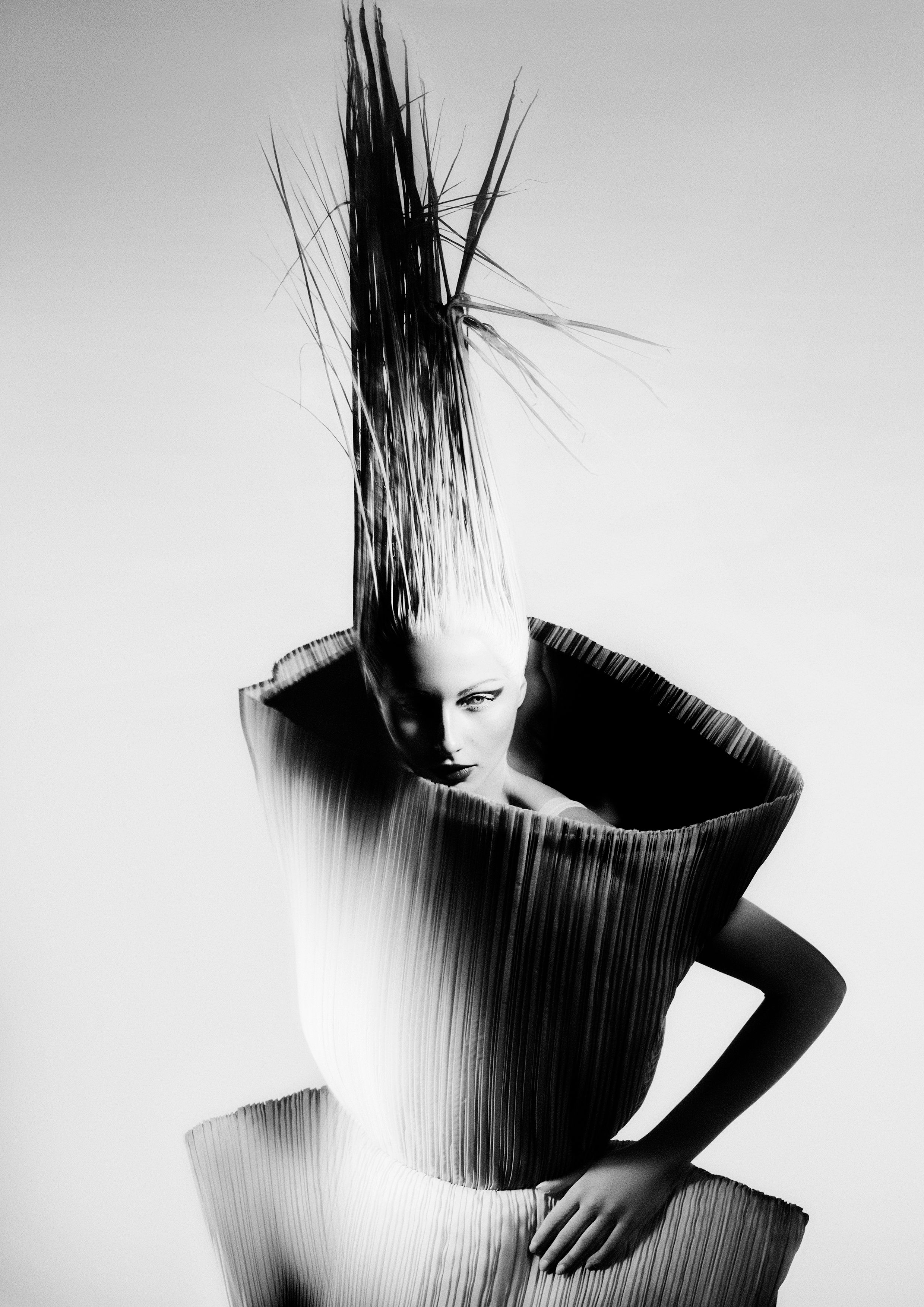 Jelena Vasic — Avant-Garde Collection ONESHOT Hair Awards entry
