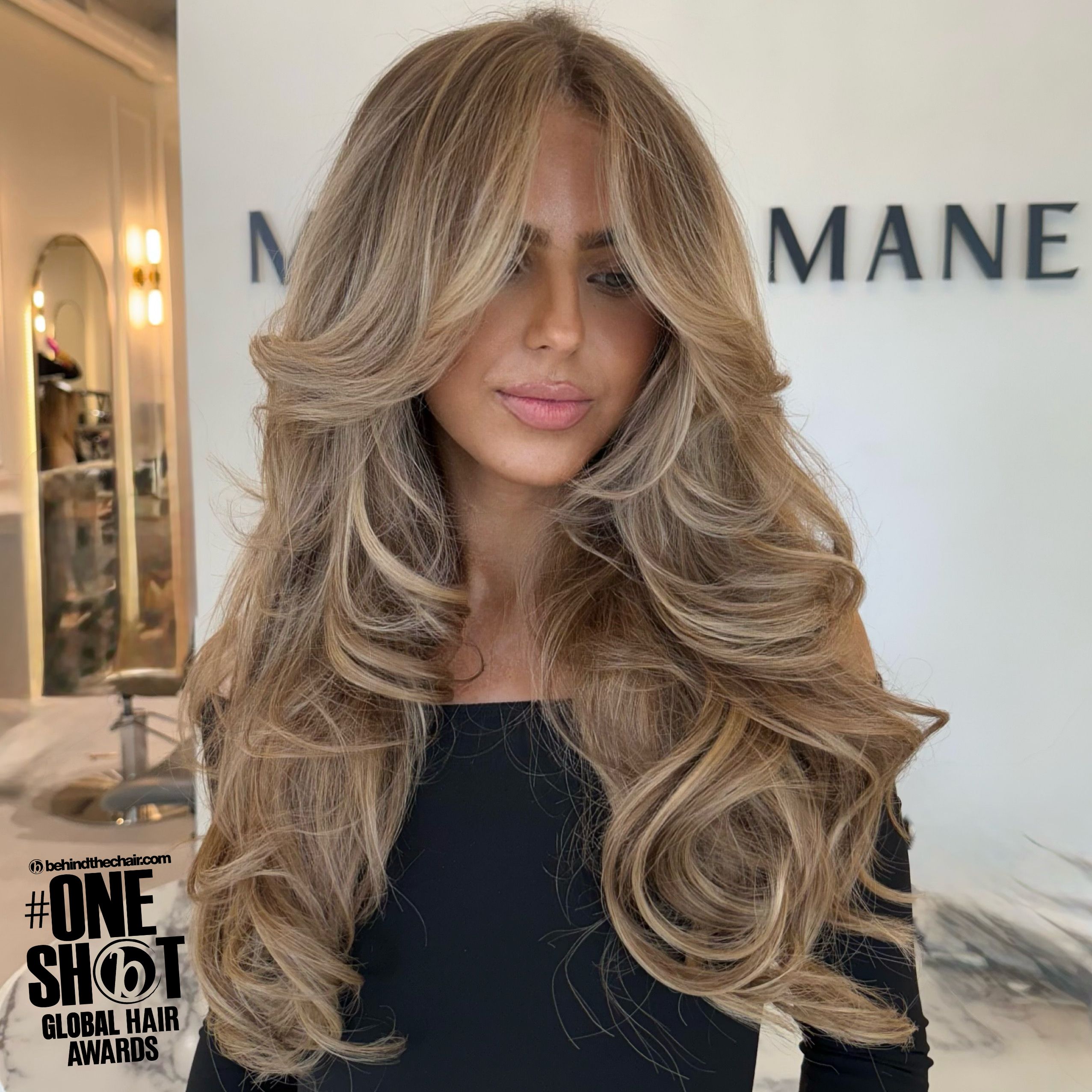 Delina Robin — Brunettes ONESHOT Hair Awards entry
