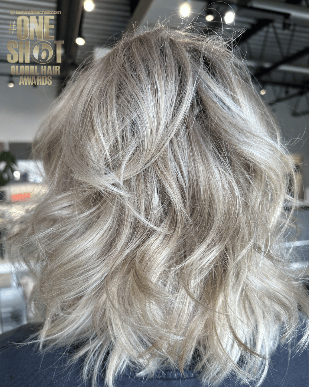 Bre Mccoy — Platinum ONESHOT Hair Awards entry