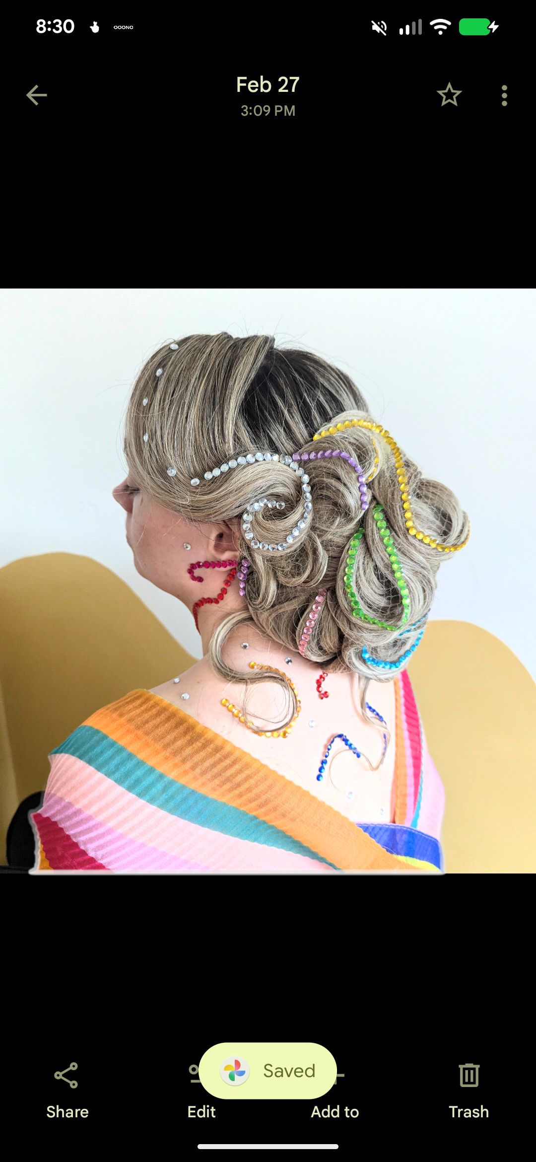Lauren E Hallam-King — Special Event Styling ONESHOT Hair Awards entry