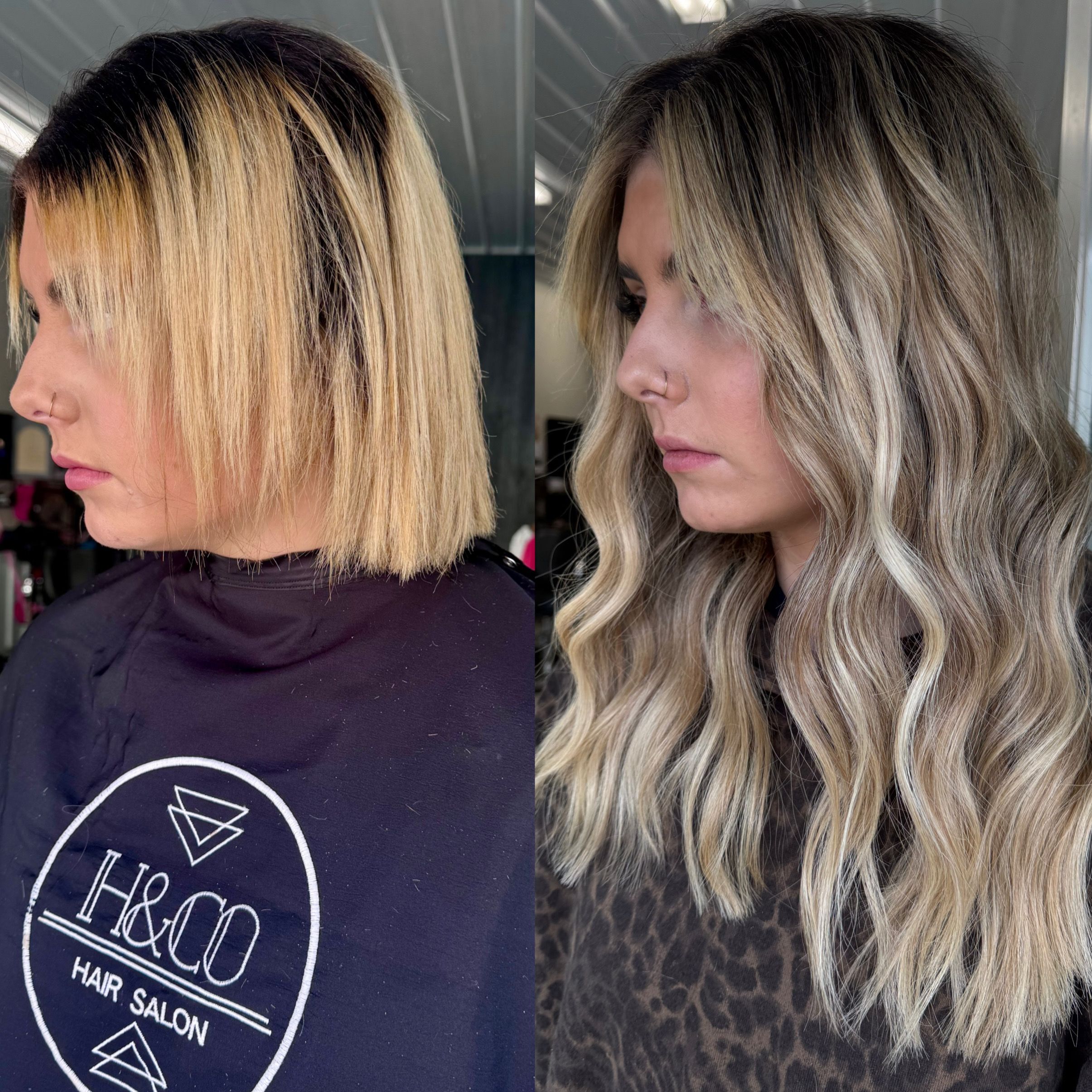 Heather Allen — Color Transformation ONESHOT Hair Awards entry