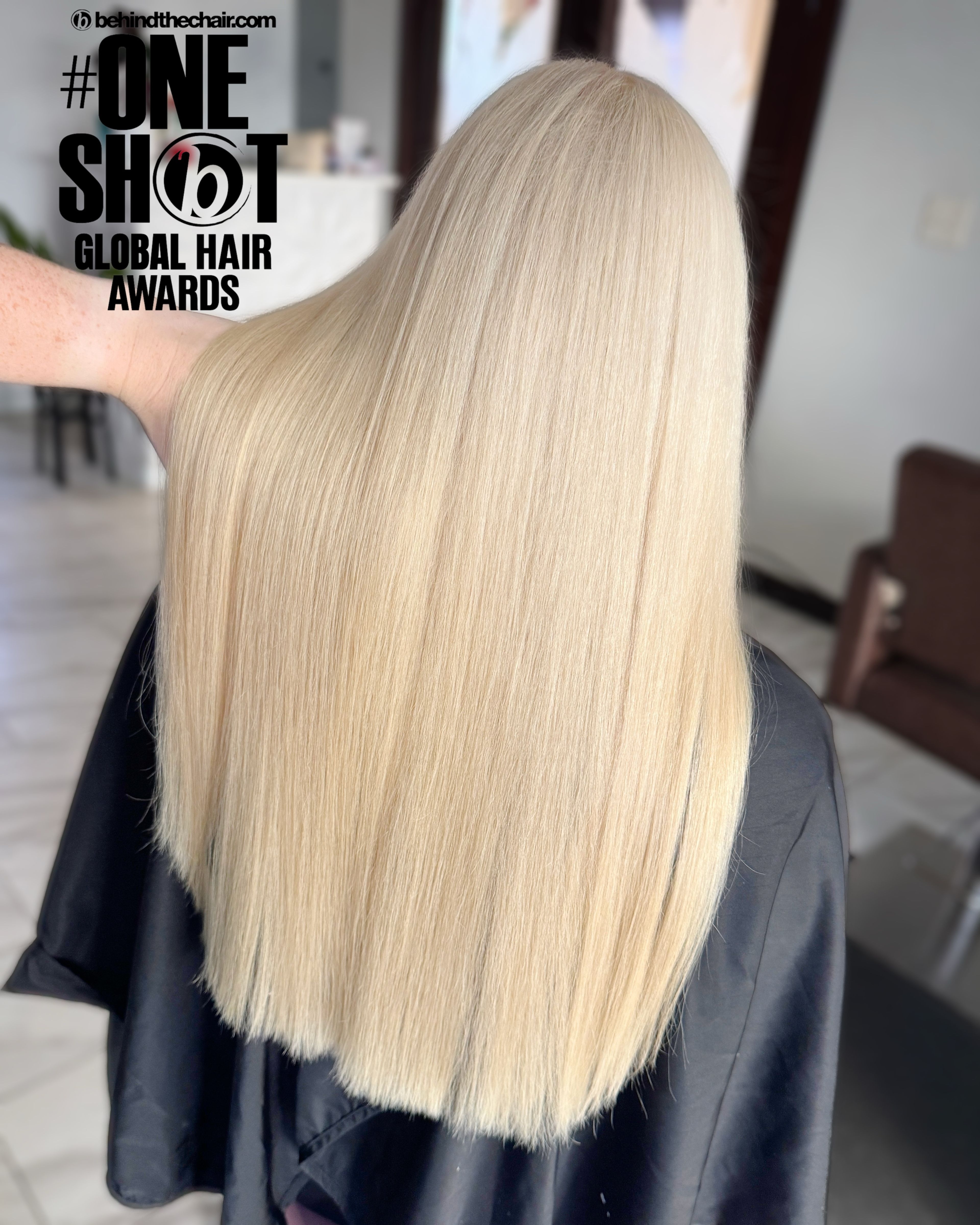Emilee Rohrer — Platinum ONESHOT Hair Awards entry