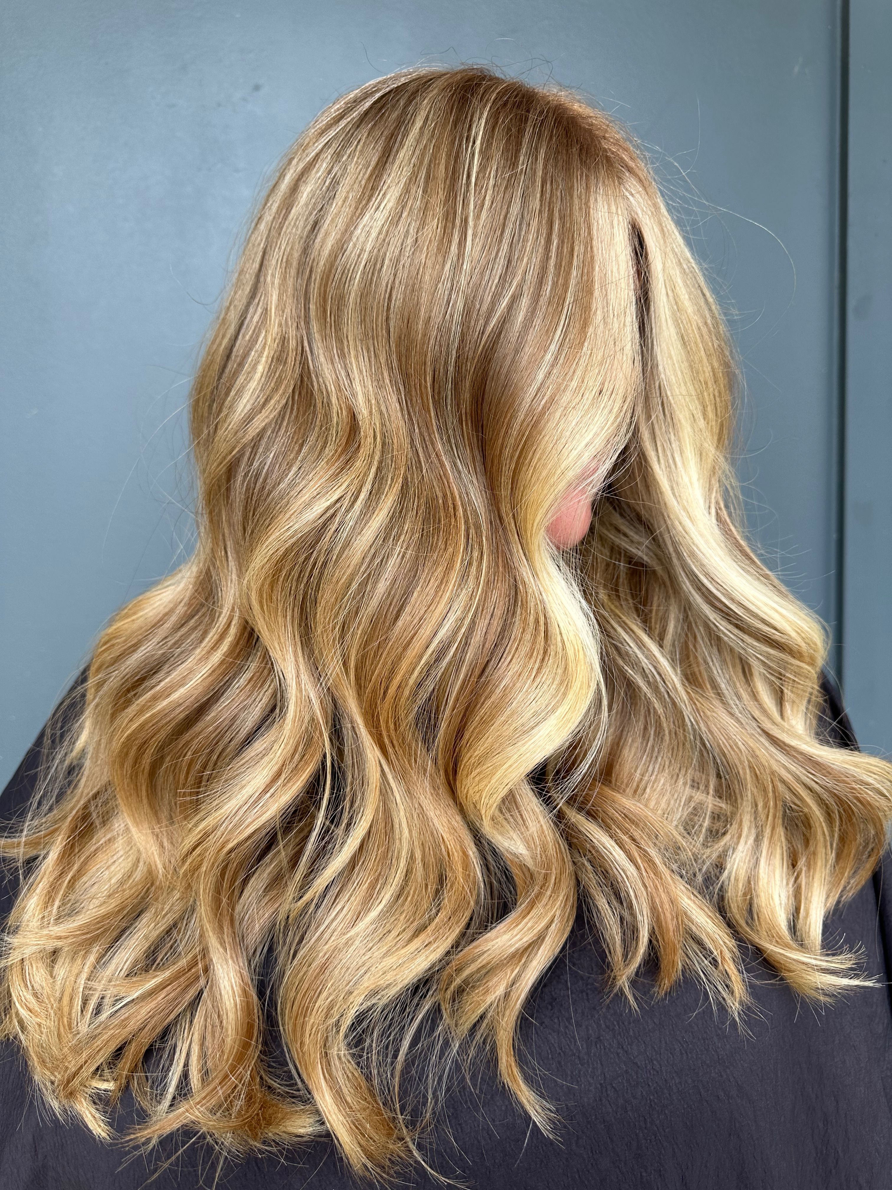 Danielle Doto — Warm Balayage ONESHOT Hair Awards entry