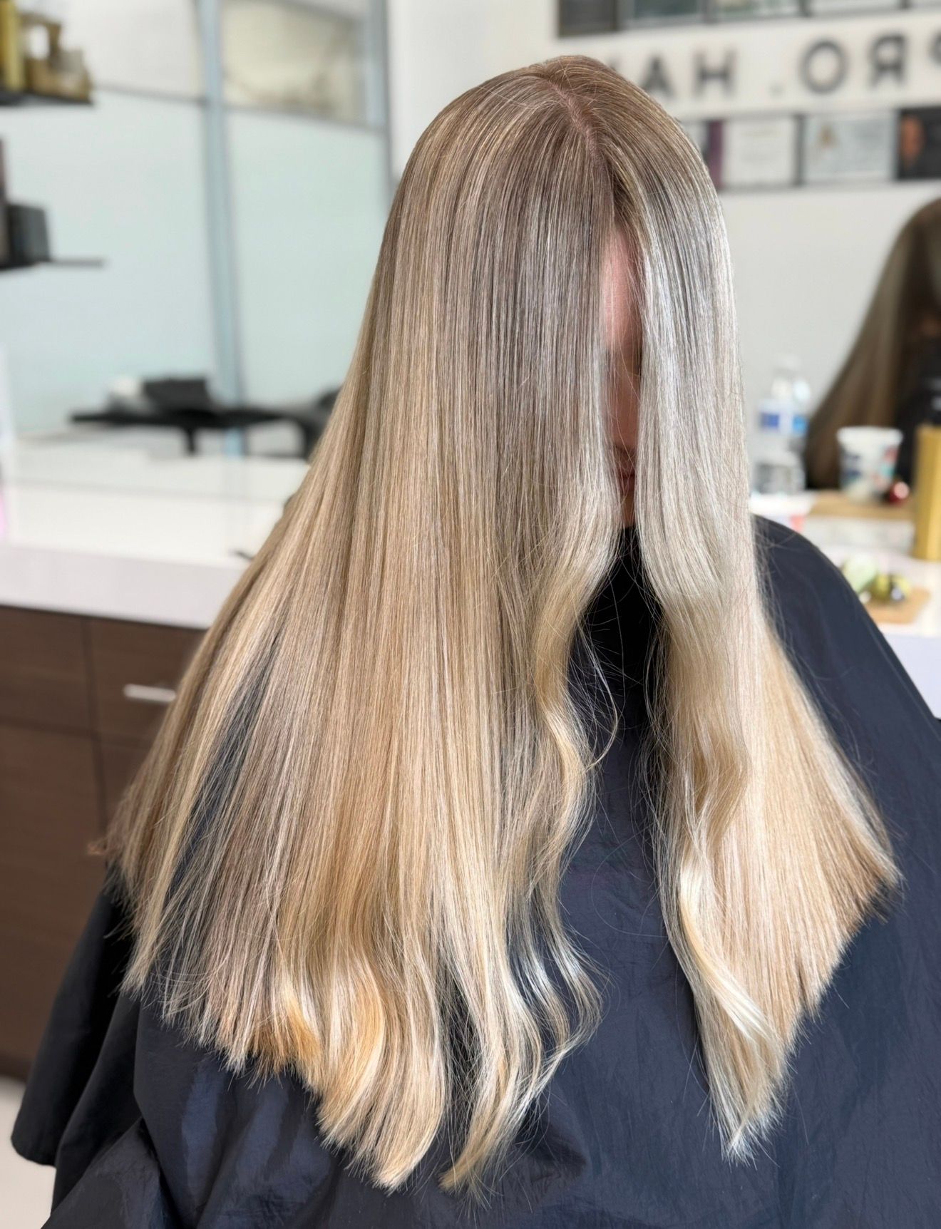 Olena Dimova — Warm Balayage ONESHOT Hair Awards entry