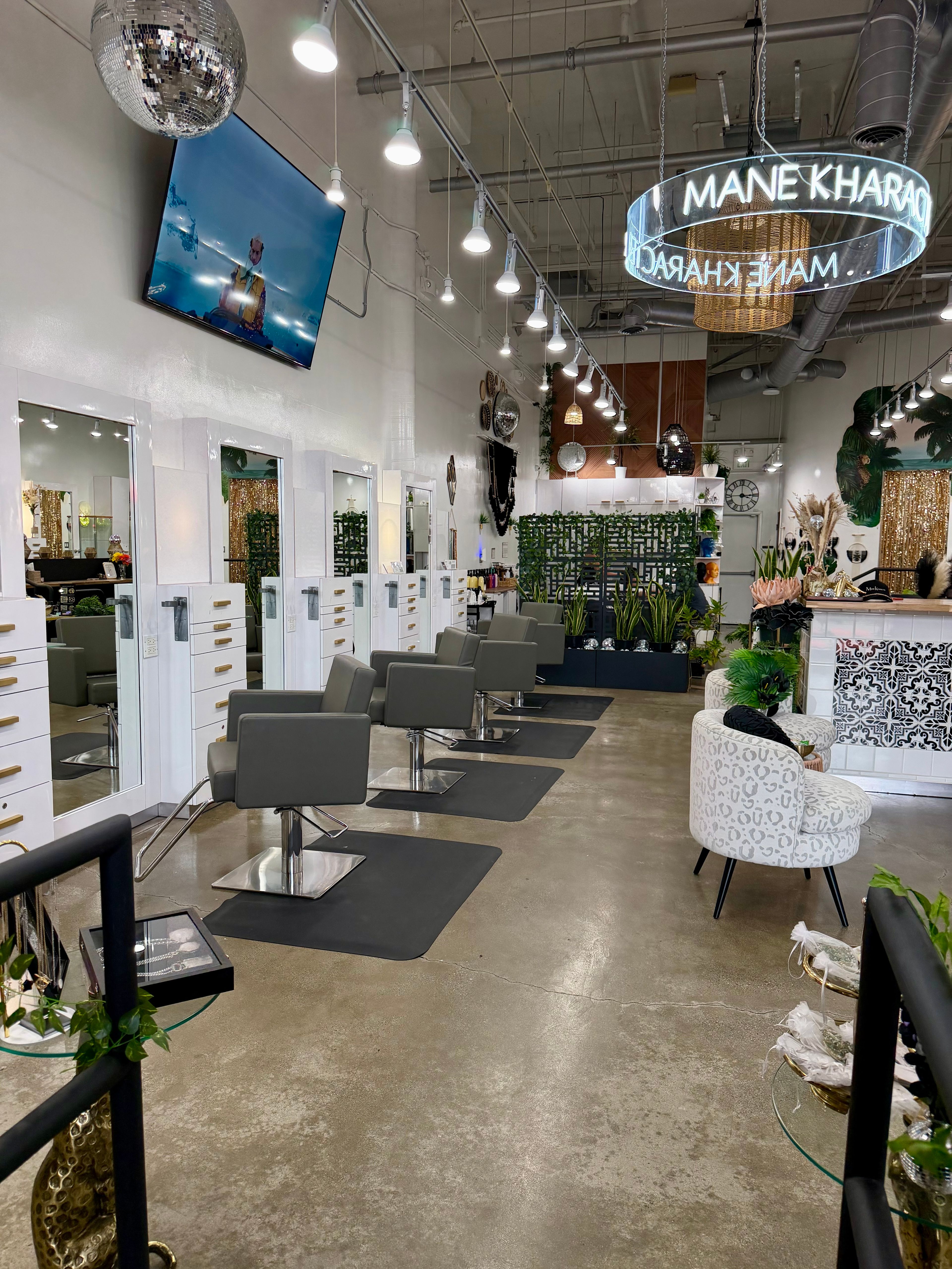 Mane Kharacter — Salon Decor ONESHOT Hair Awards entry