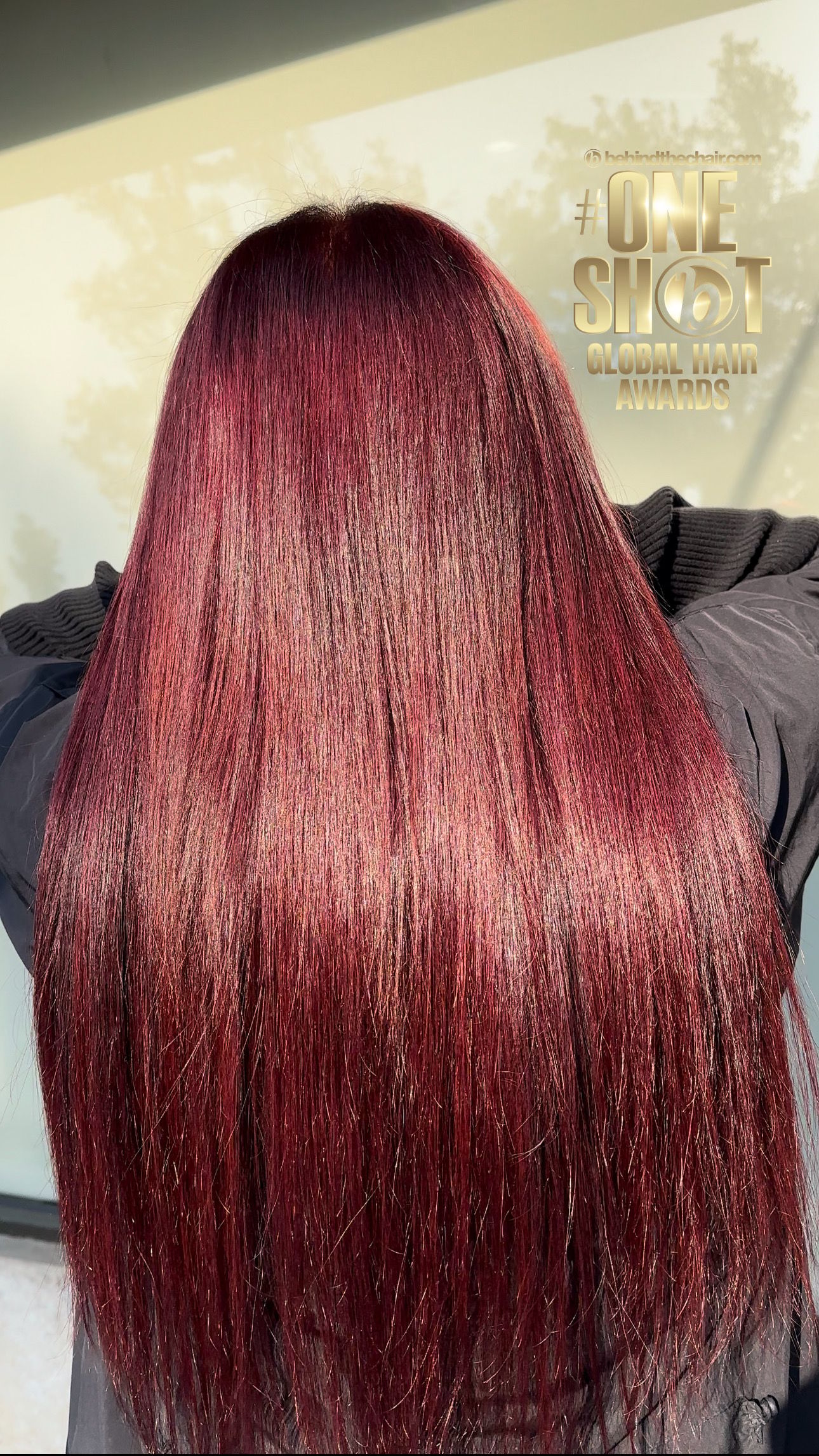 Anna Kucherenko — Reds ONESHOT Hair Awards entry