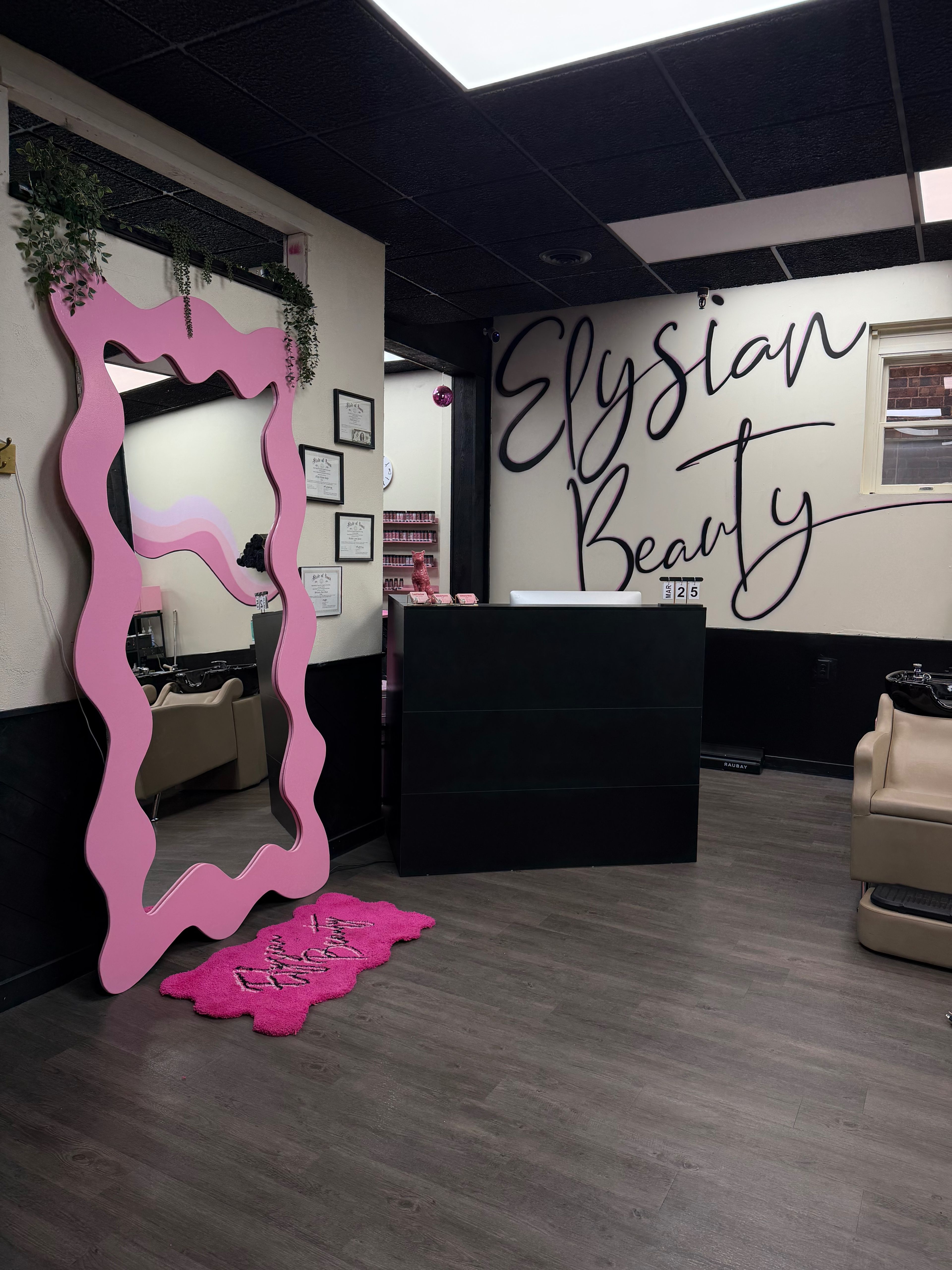 Alexis Baker — Salon Decor ONESHOT Hair Awards entry