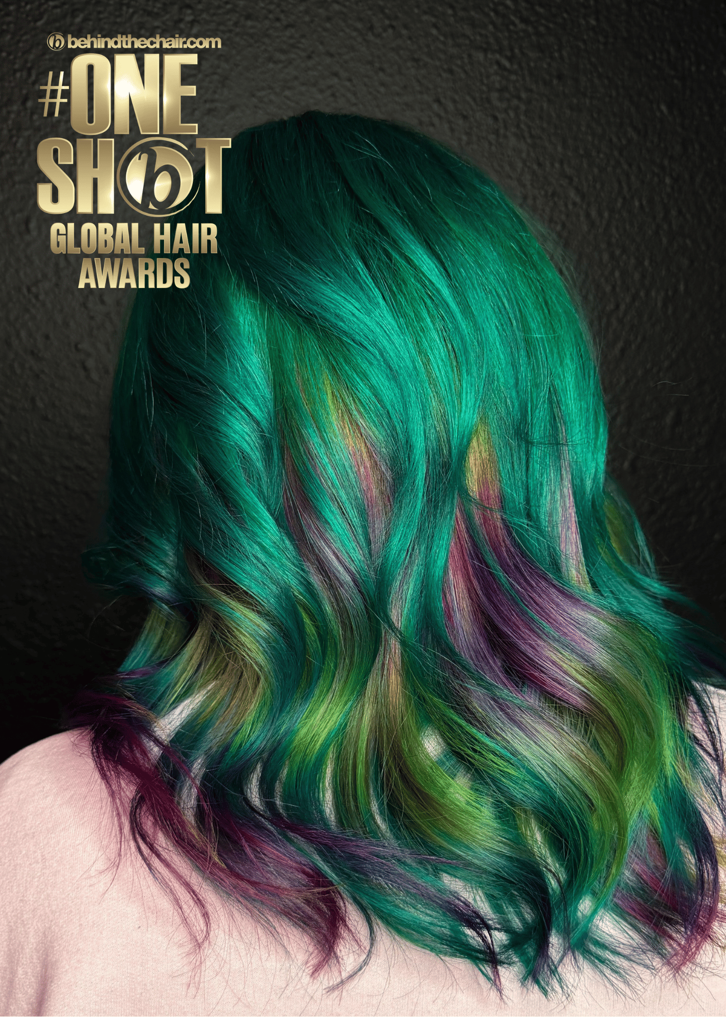 Shannon Chap — Creative Color ONESHOT Hair Awards entry