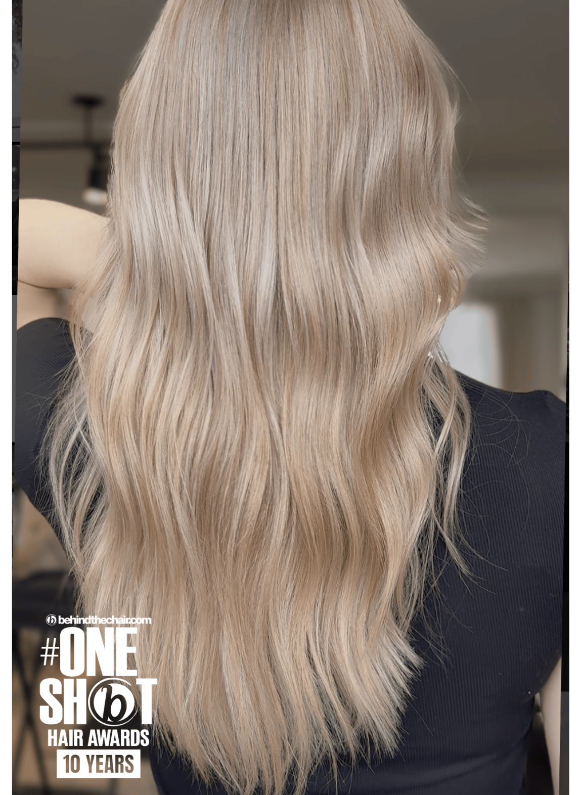 Danielle Frenz — Platinum ONESHOT Hair Awards entry