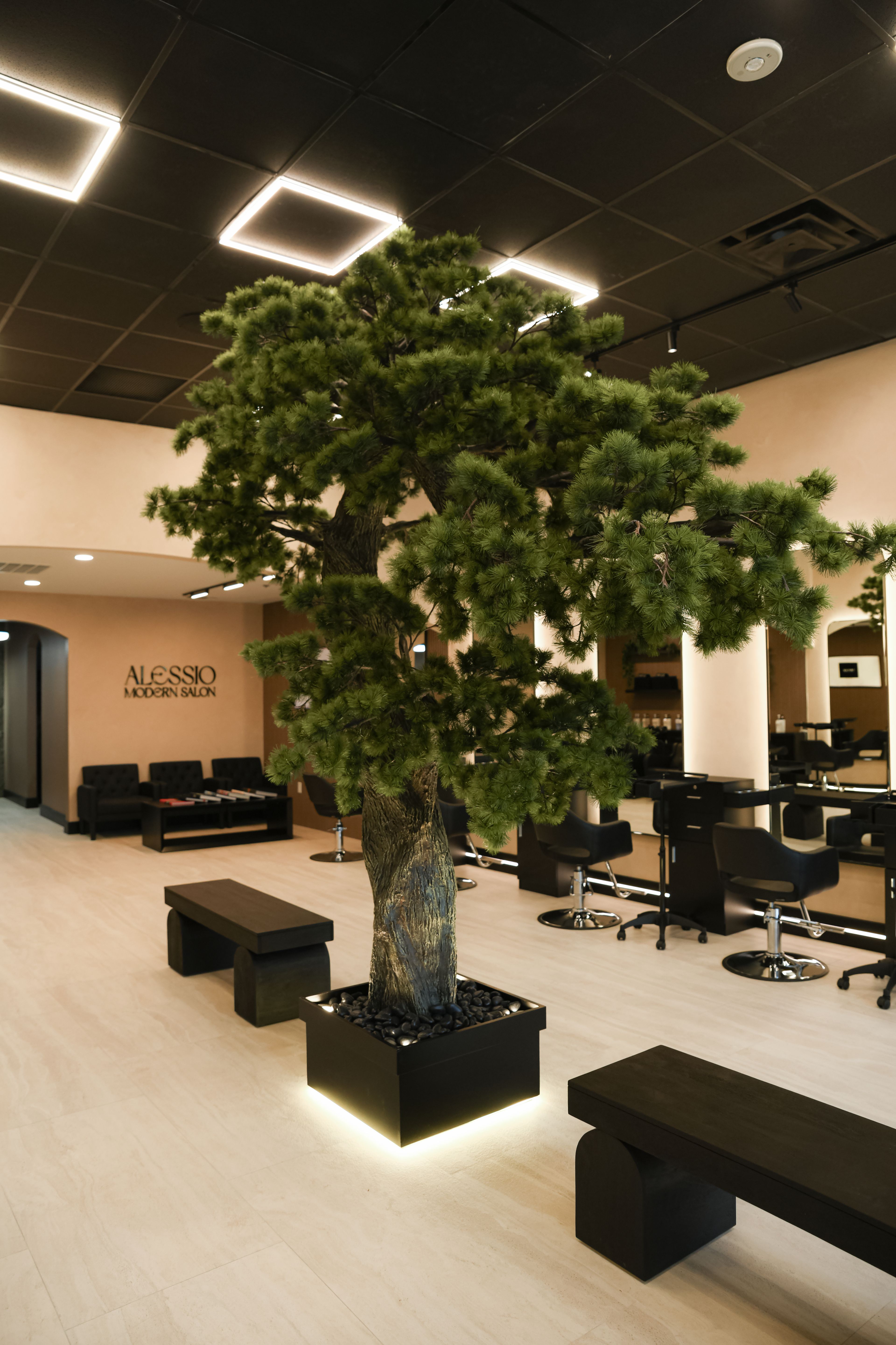 Katie Alessio — Salon Decor ONESHOT Hair Awards entry