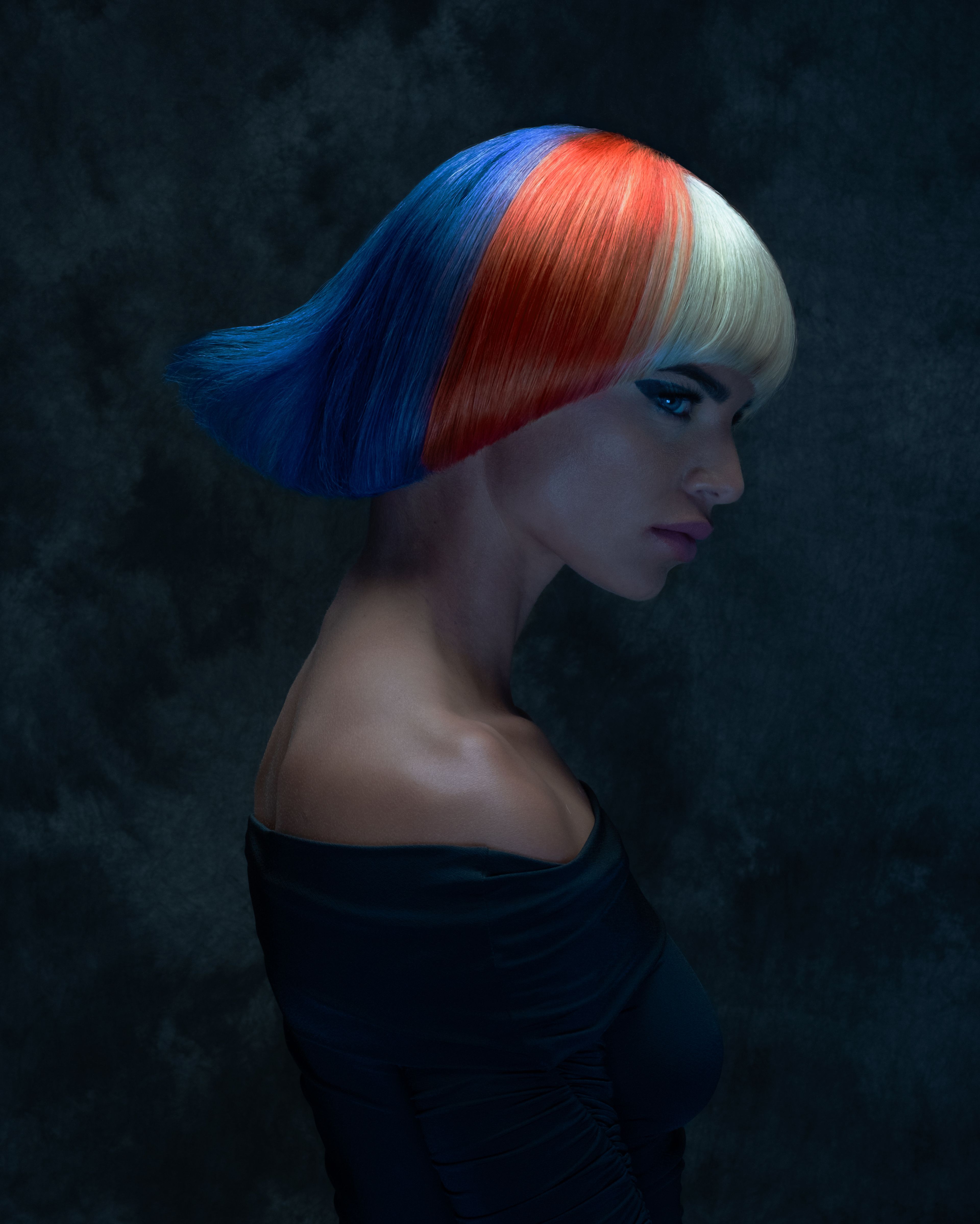 Casey Coleman — Hair Color Collection ONESHOT Hair Awards entry