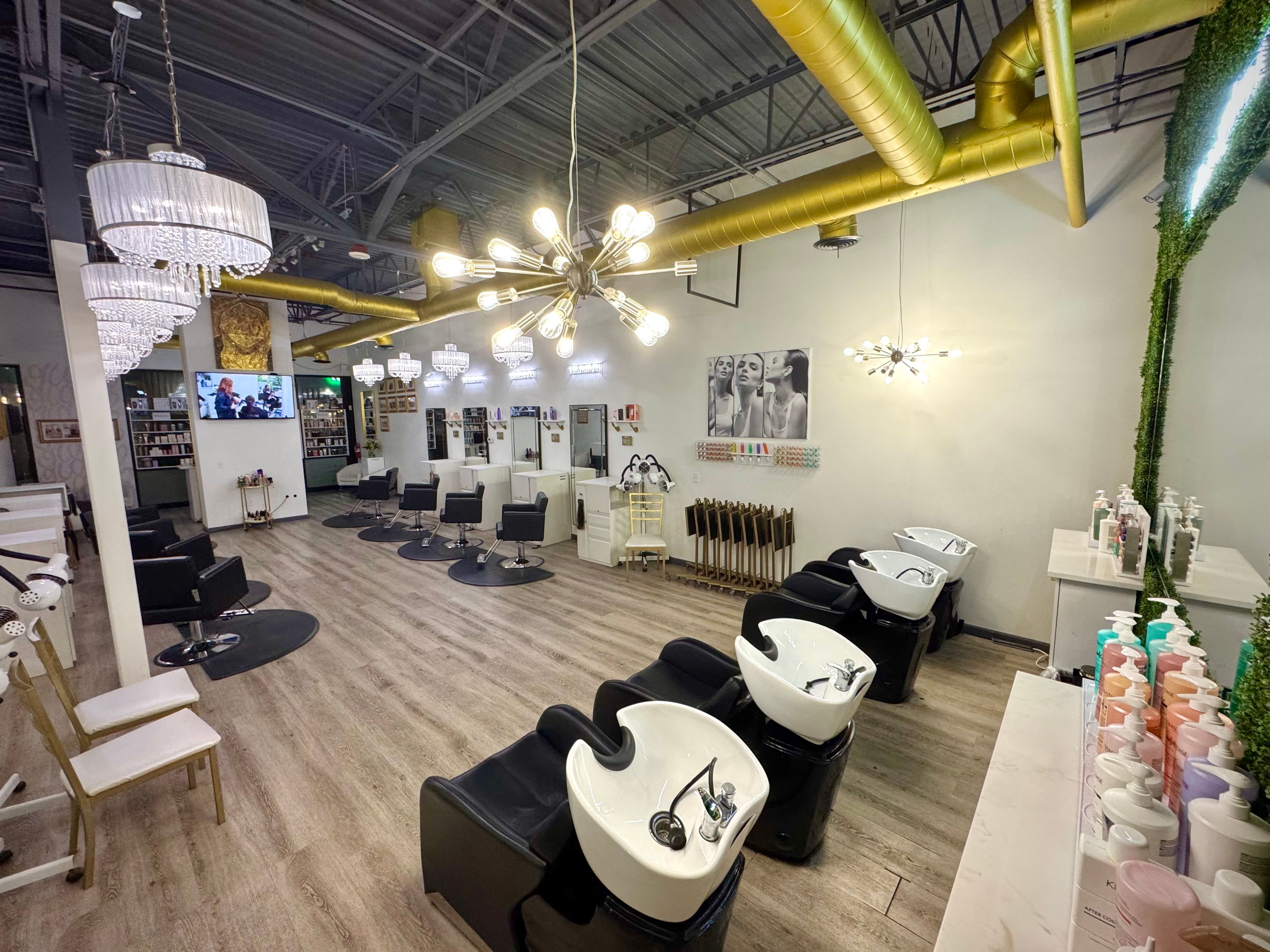 Elham M Zadeh — Salon Decor ONESHOT Hair Awards entry