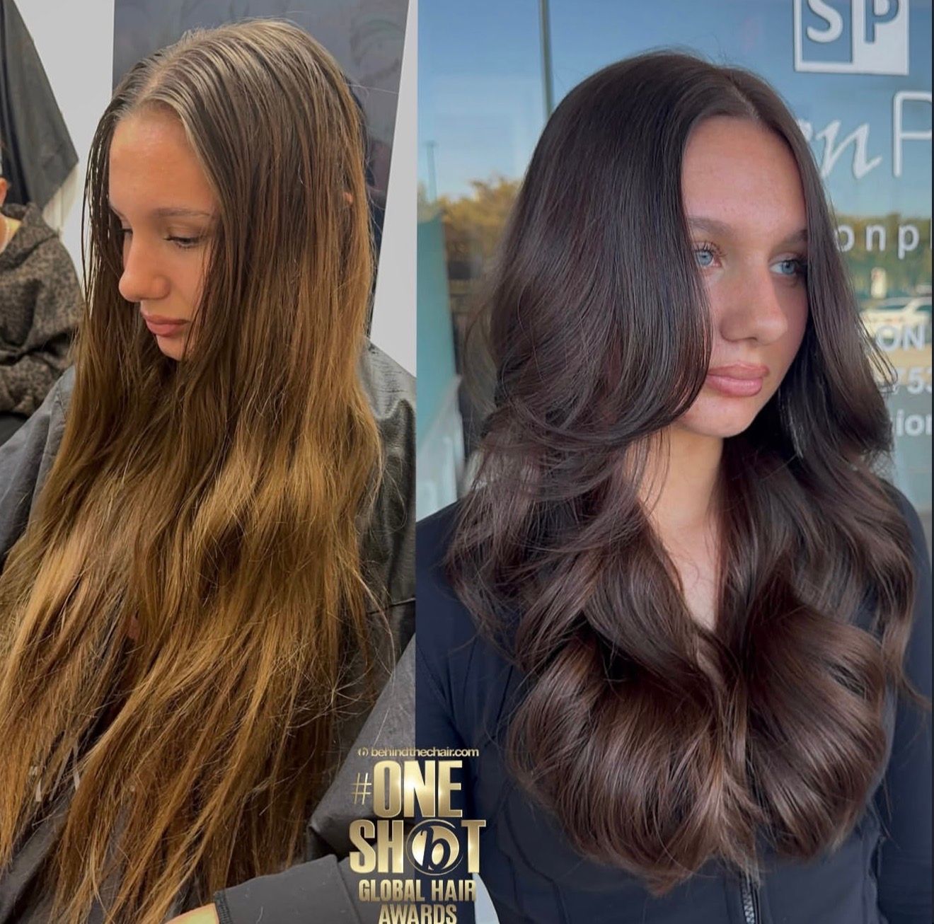 Macy Wooley — Color Transformation ONESHOT Hair Awards entry