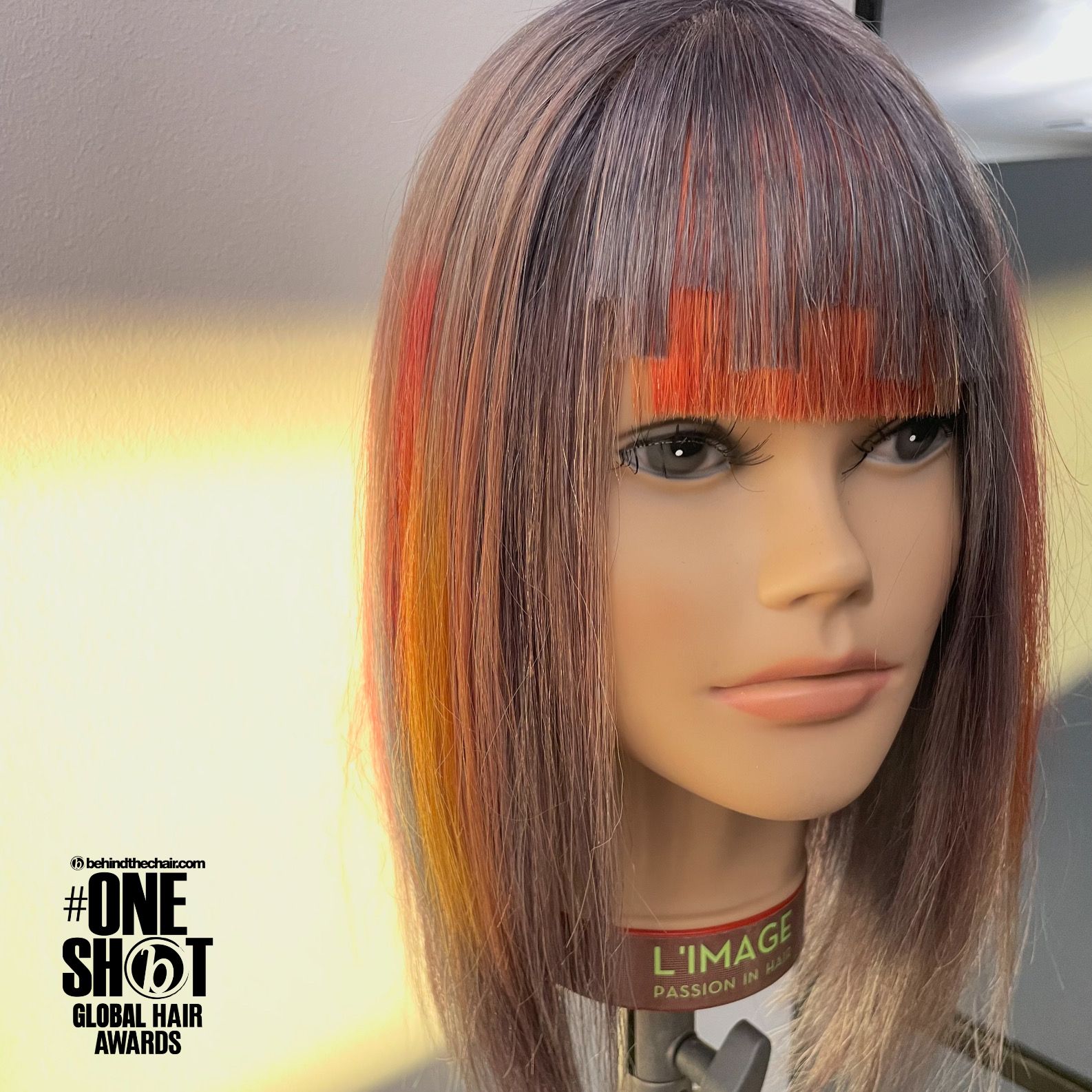 Maria Müller — Color Blocking ONESHOT Hair Awards entry