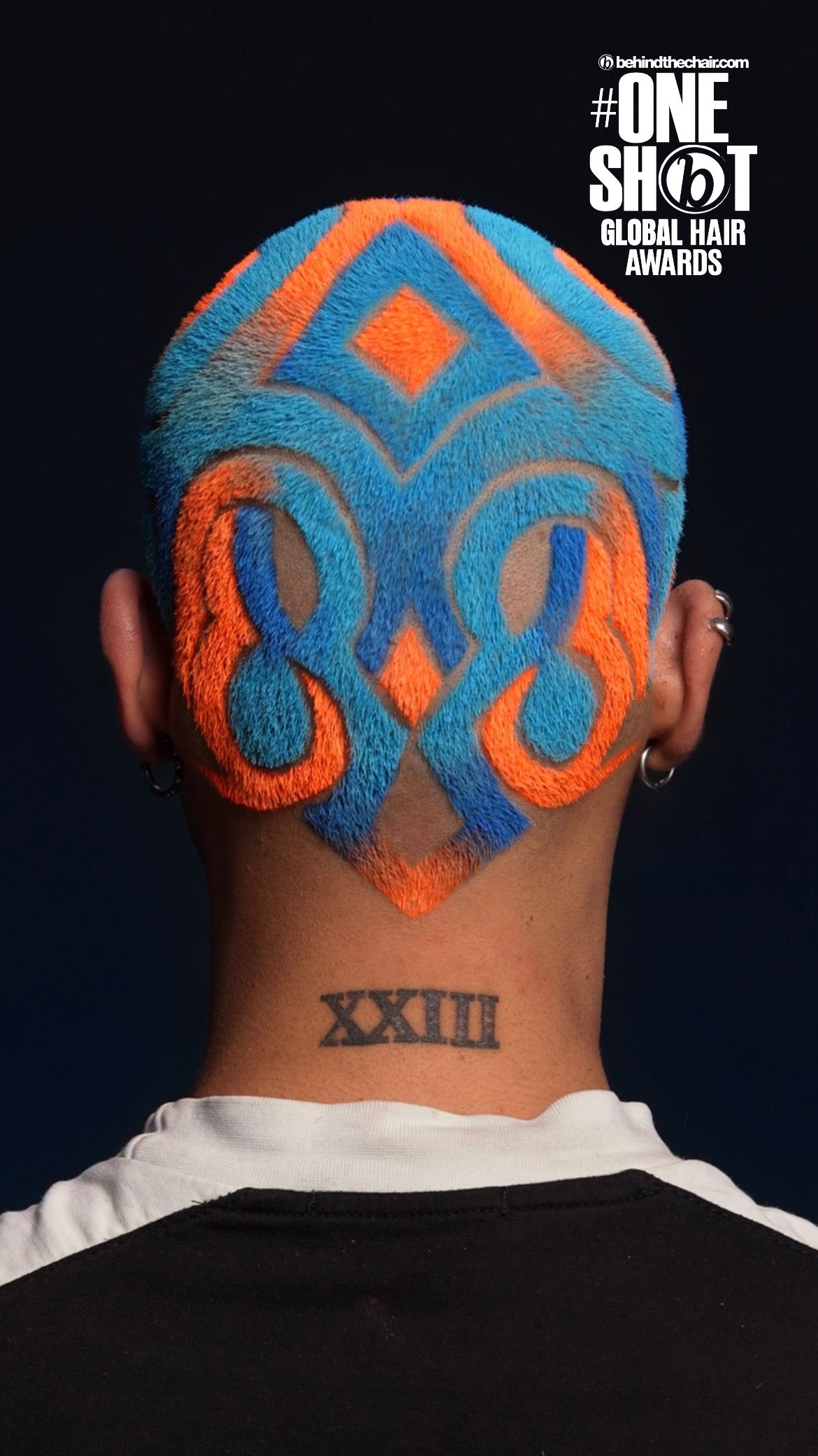 Sepehr Bakhshmand — Hair Tattoo ONESHOT Hair Awards entry