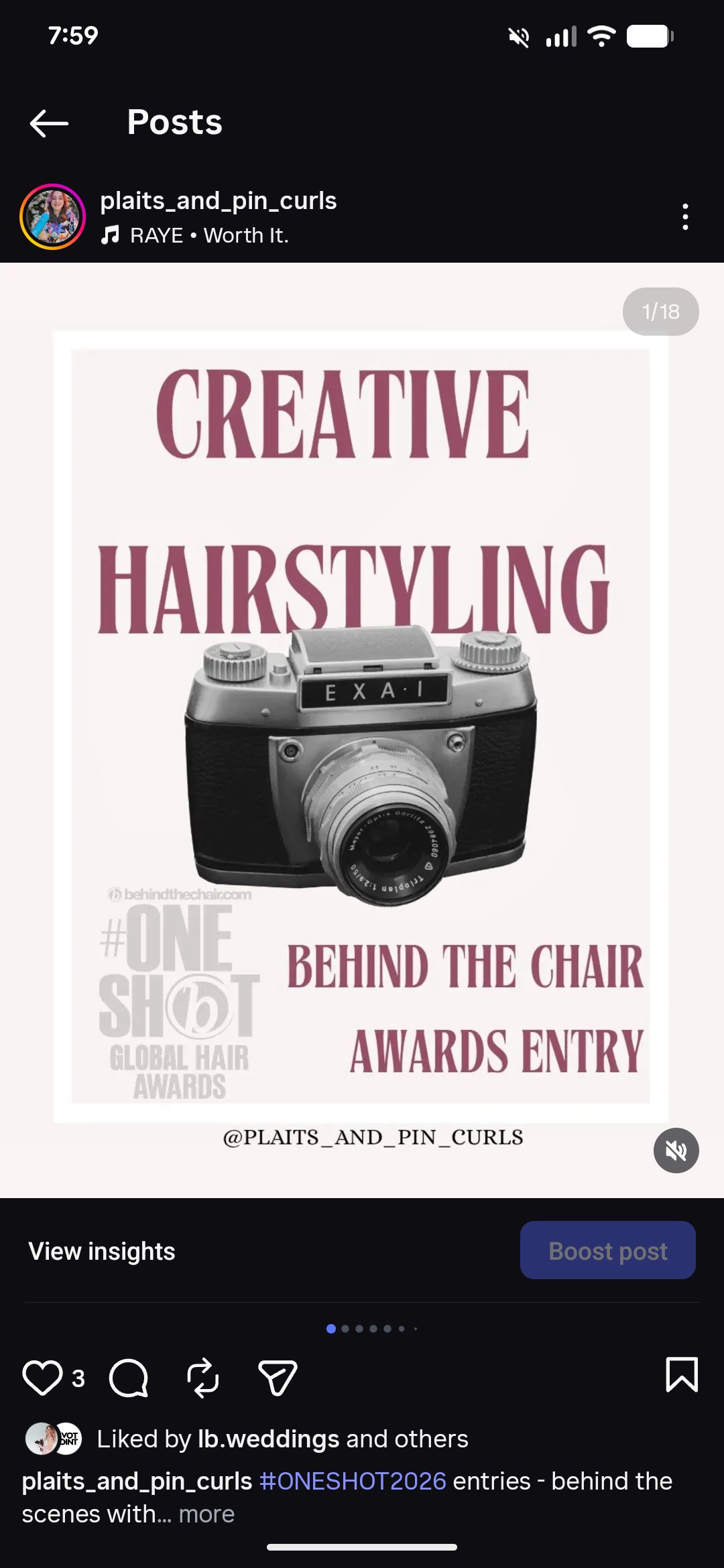 Lauren E Hallam-King — Educational Post ONESHOT Hair Awards entry