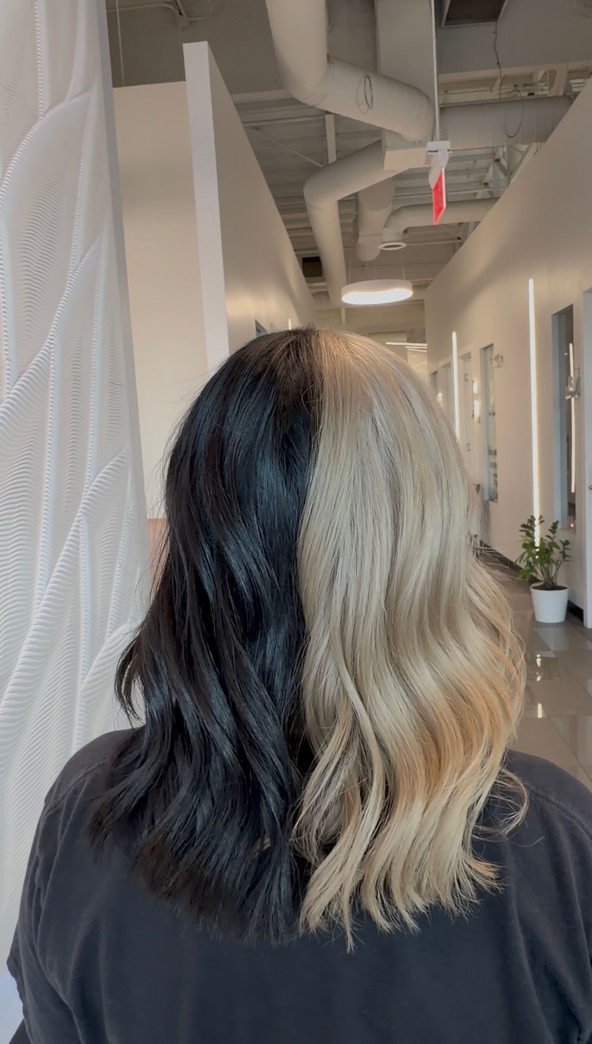 Brooke VanBrunt — Color Blocking ONESHOT Hair Awards entry