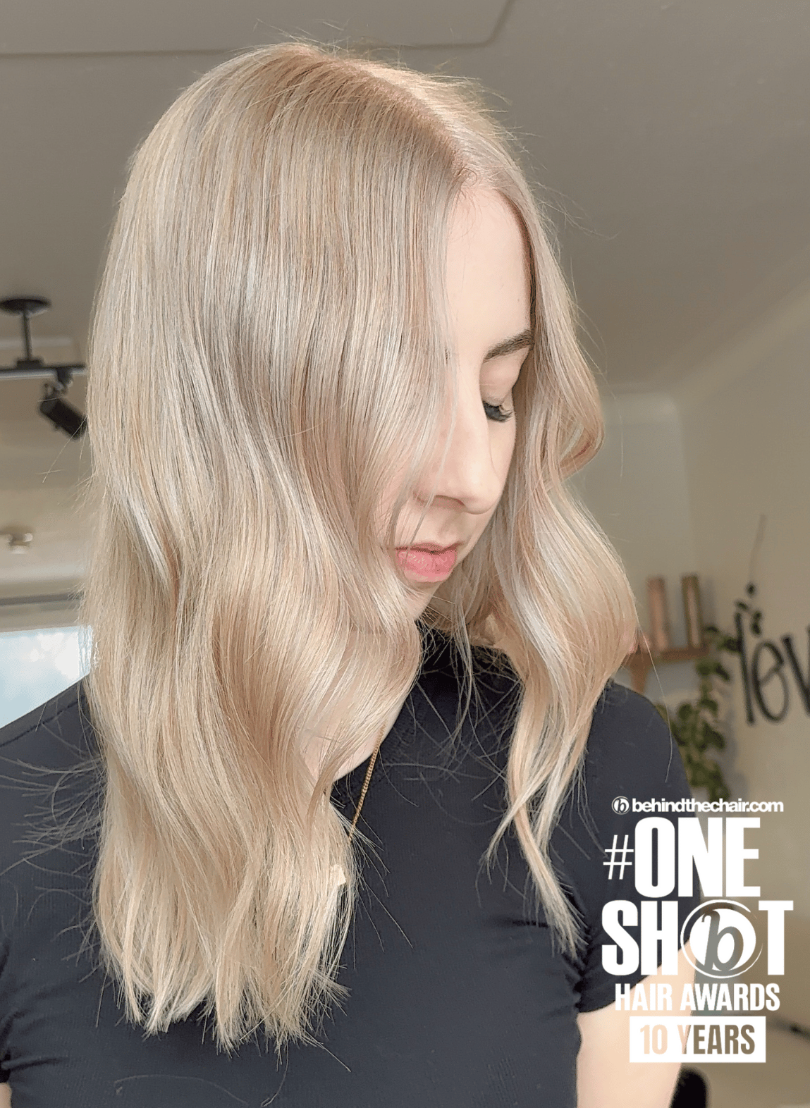 Danielle Frenz — Platinum ONESHOT Hair Awards entry