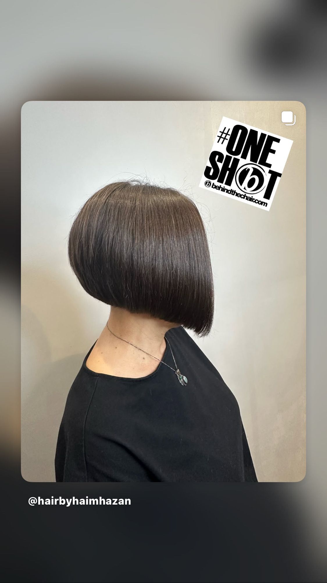 Haim Hazan — Bob/Lob ONESHOT Hair Awards entry