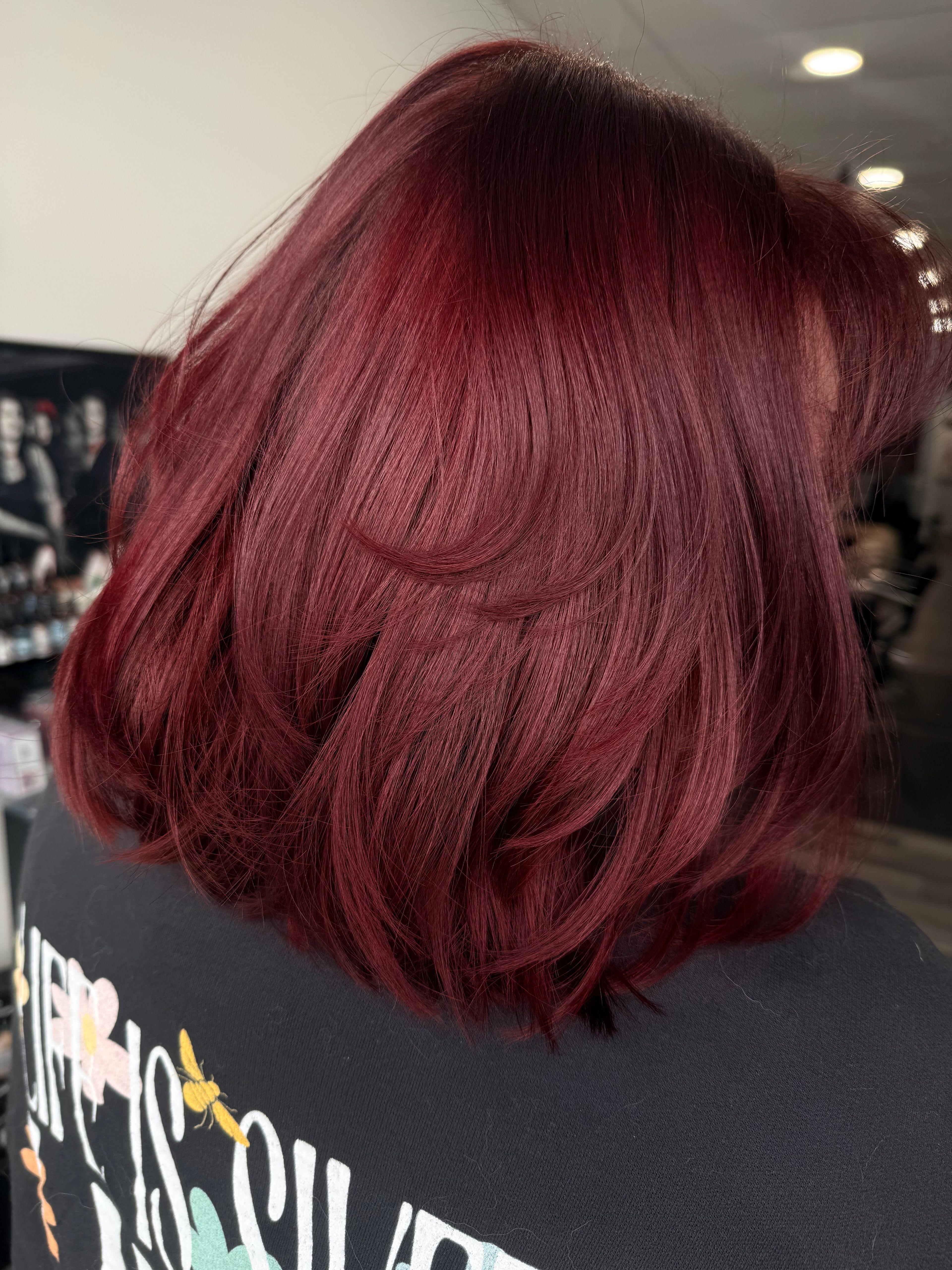 Elana Lamereaux — Reds ONESHOT Hair Awards entry