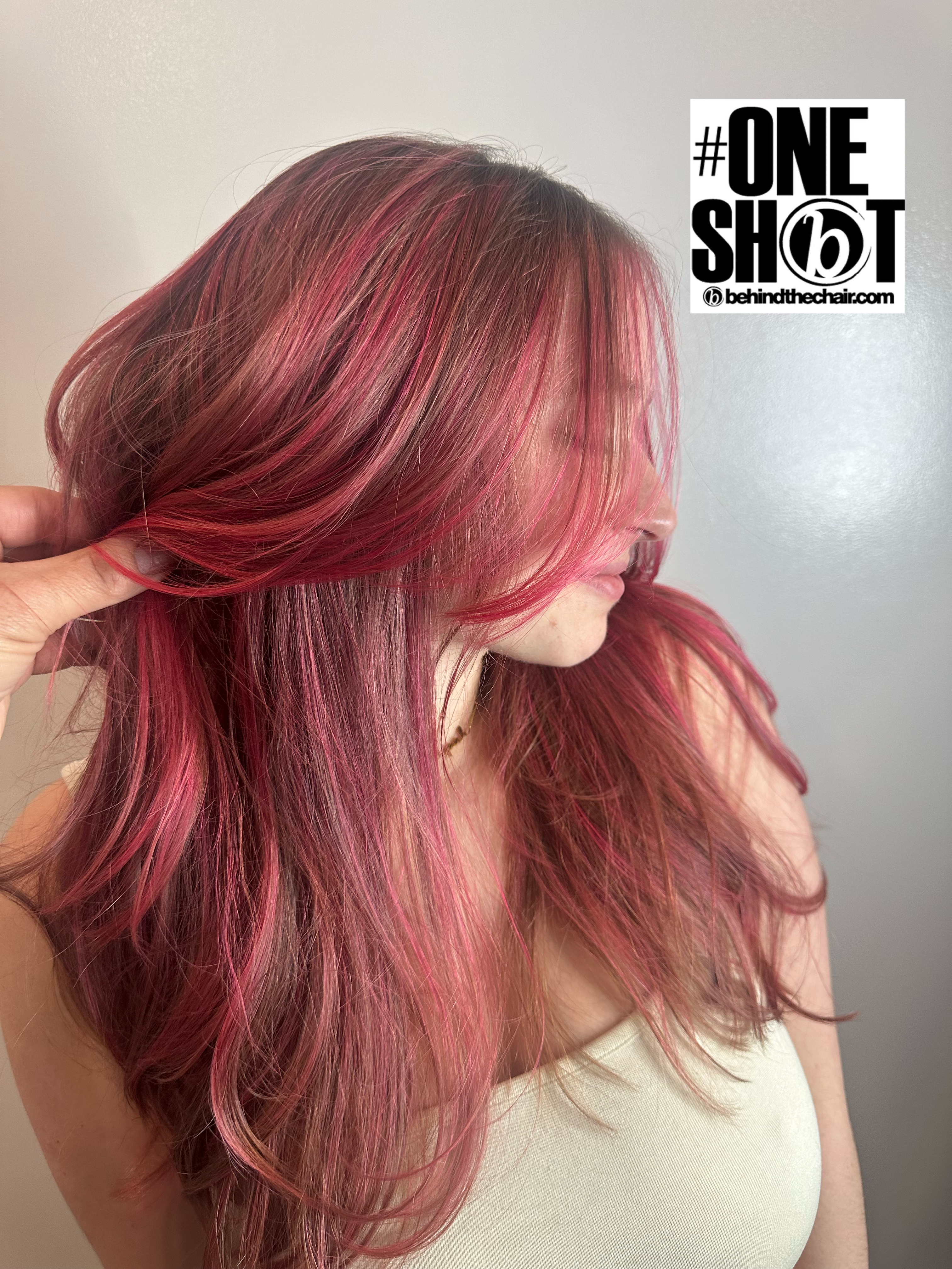 Haim Hazan — Creative Color ONESHOT Hair Awards entry