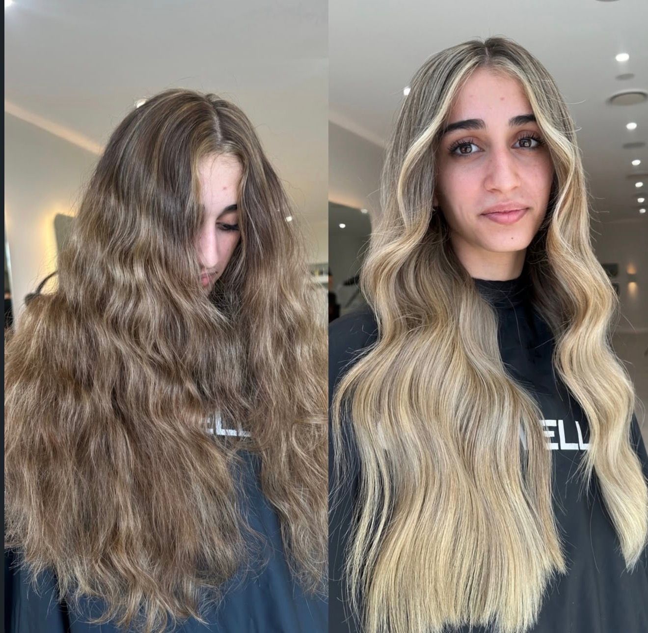 Sophie Reeves — Color Transformation ONESHOT Hair Awards entry