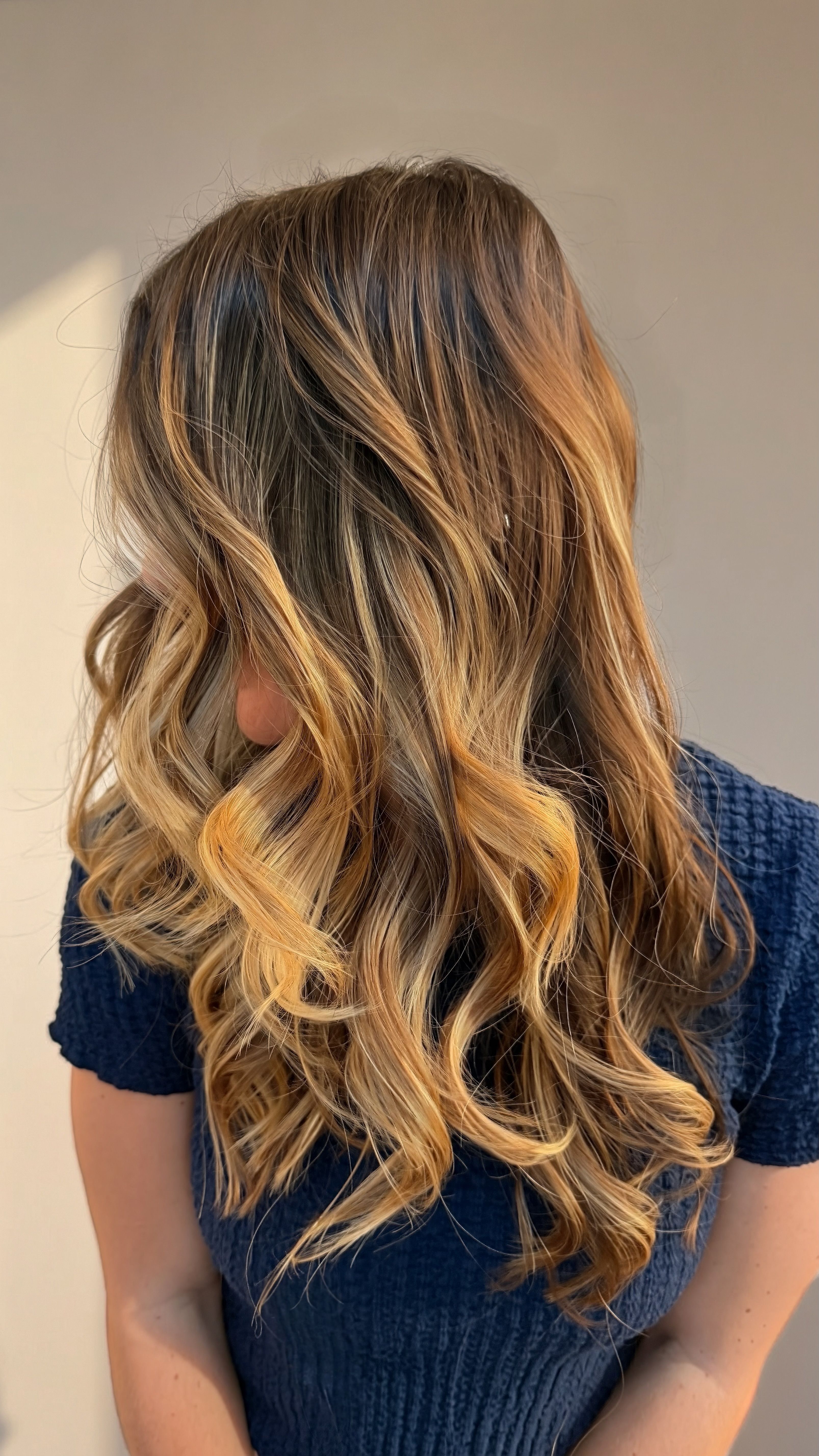 Casandra C. Brupbacher — Warm Balayage ONESHOT Hair Awards entry