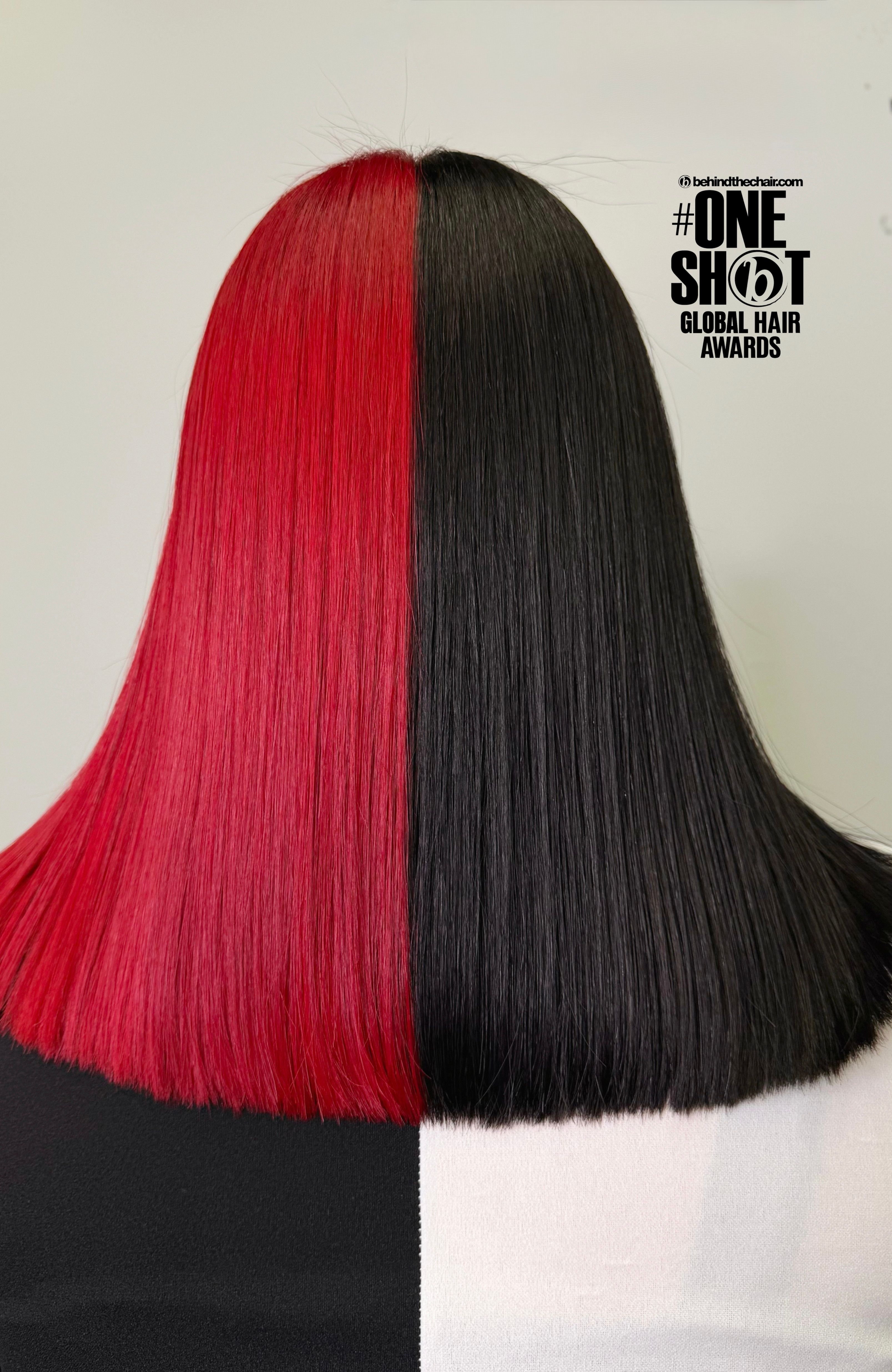 Lizbeth Mojica — Color Blocking ONESHOT Hair Awards entry