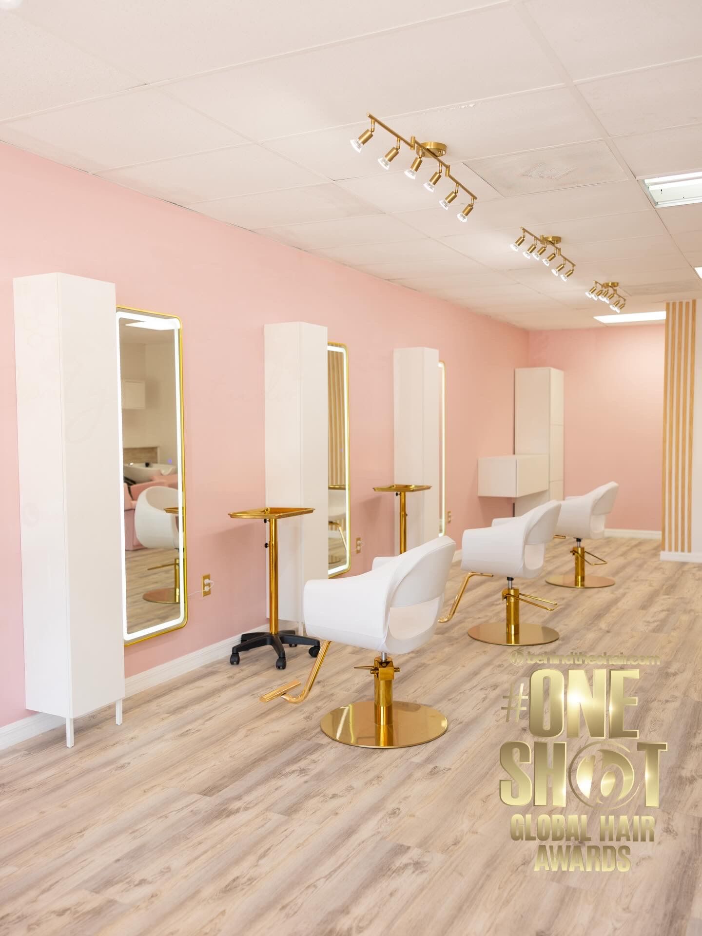 Shirleyann Enid Rivera Santiago — Salon Decor ONESHOT Hair Awards entry