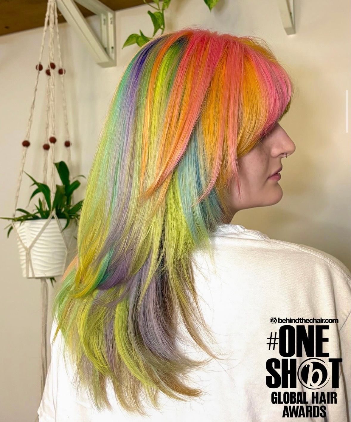 Bri Chiu — Creative Color ONESHOT Hair Awards entry