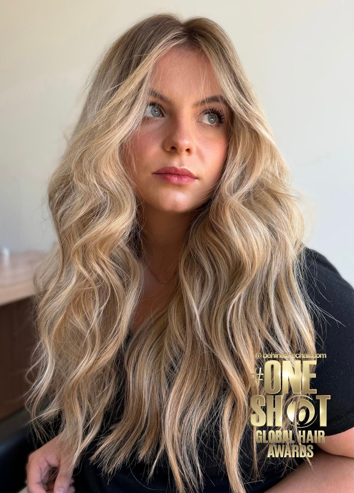 Shady Price — Warm Balayage ONESHOT Hair Awards entry