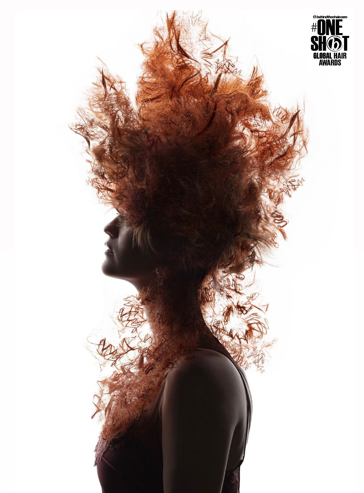 Svetlana Jouini — Avant-Garde Collection ONESHOT Hair Awards entry