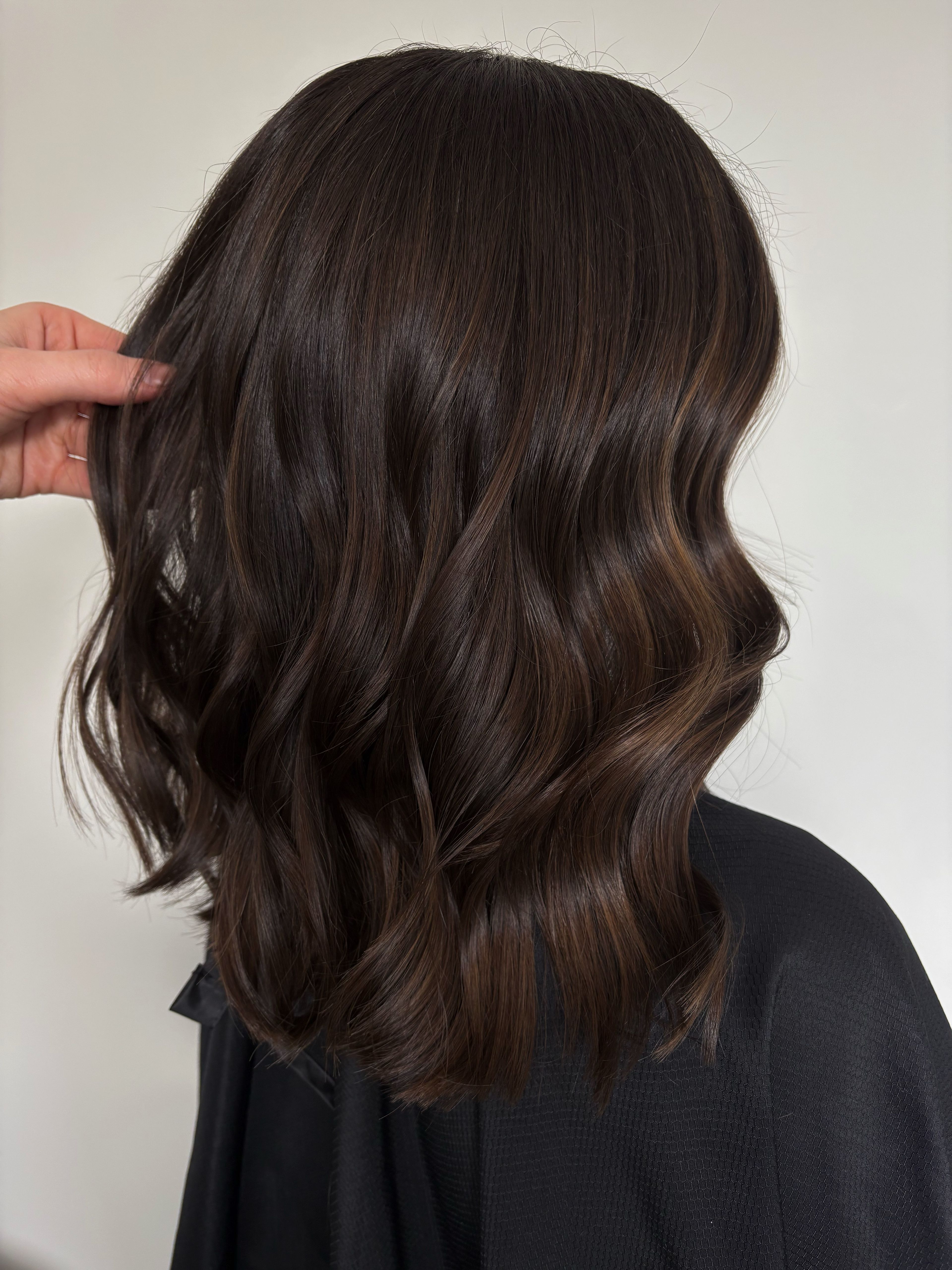 Brenna Heil — Brunettes ONESHOT Hair Awards entry