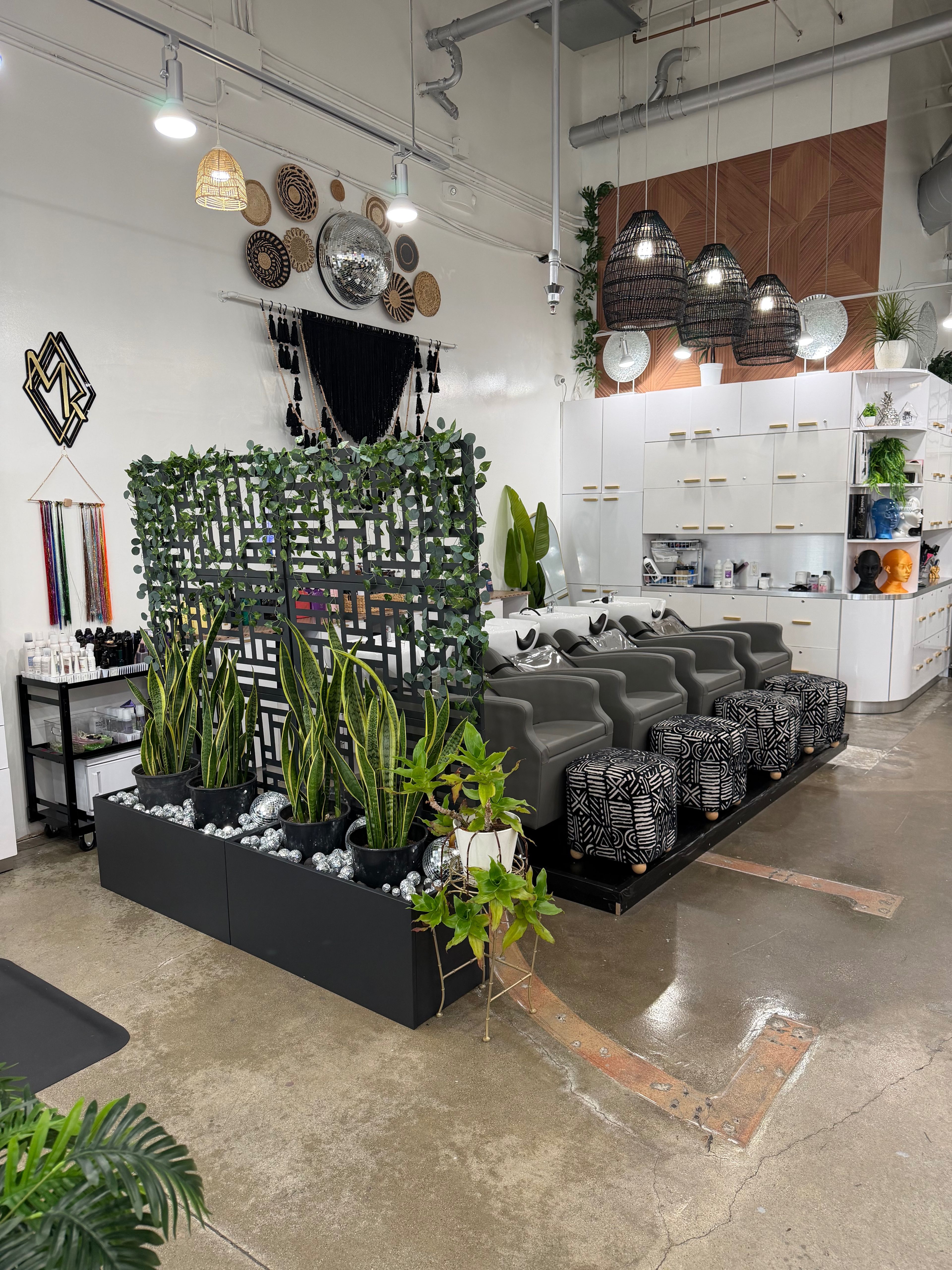 Mane Kharacter — Salon Decor ONESHOT Hair Awards entry